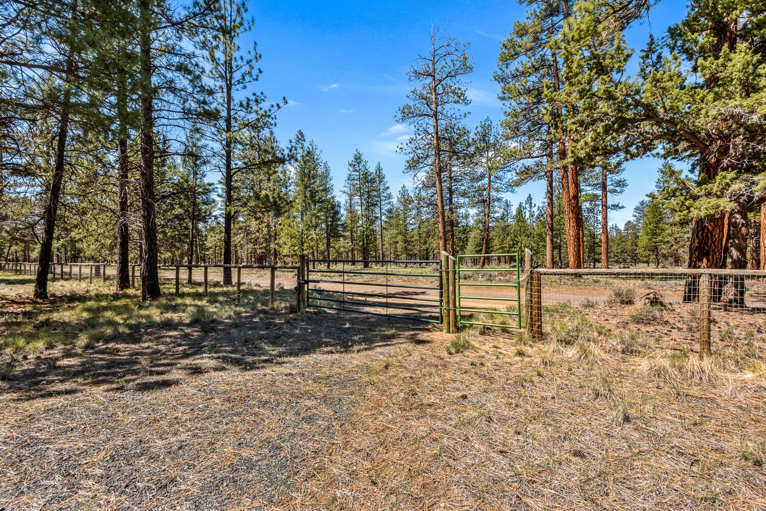 Indian Ford Meadows - Residential