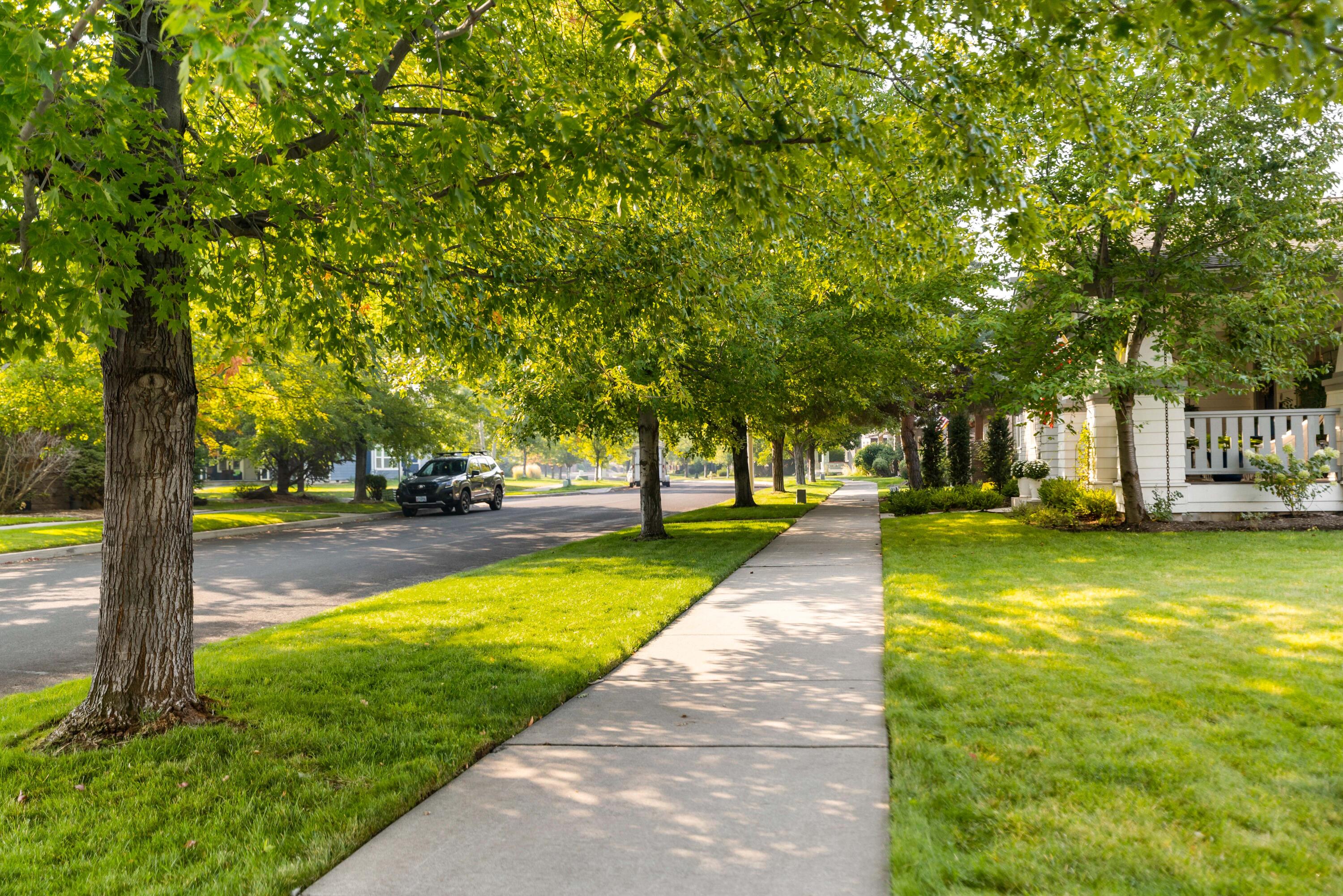 Canyon Rim Village - Residential