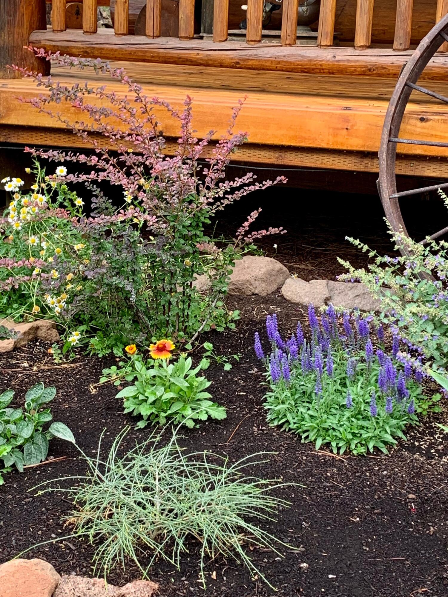 Junipine Acres - Residential