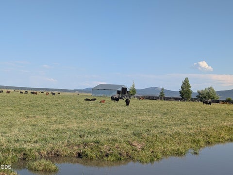 Tiny photo for 15655 W Langell Valley Road, Bonanza, OR 97623 (MLS # 220223854)
