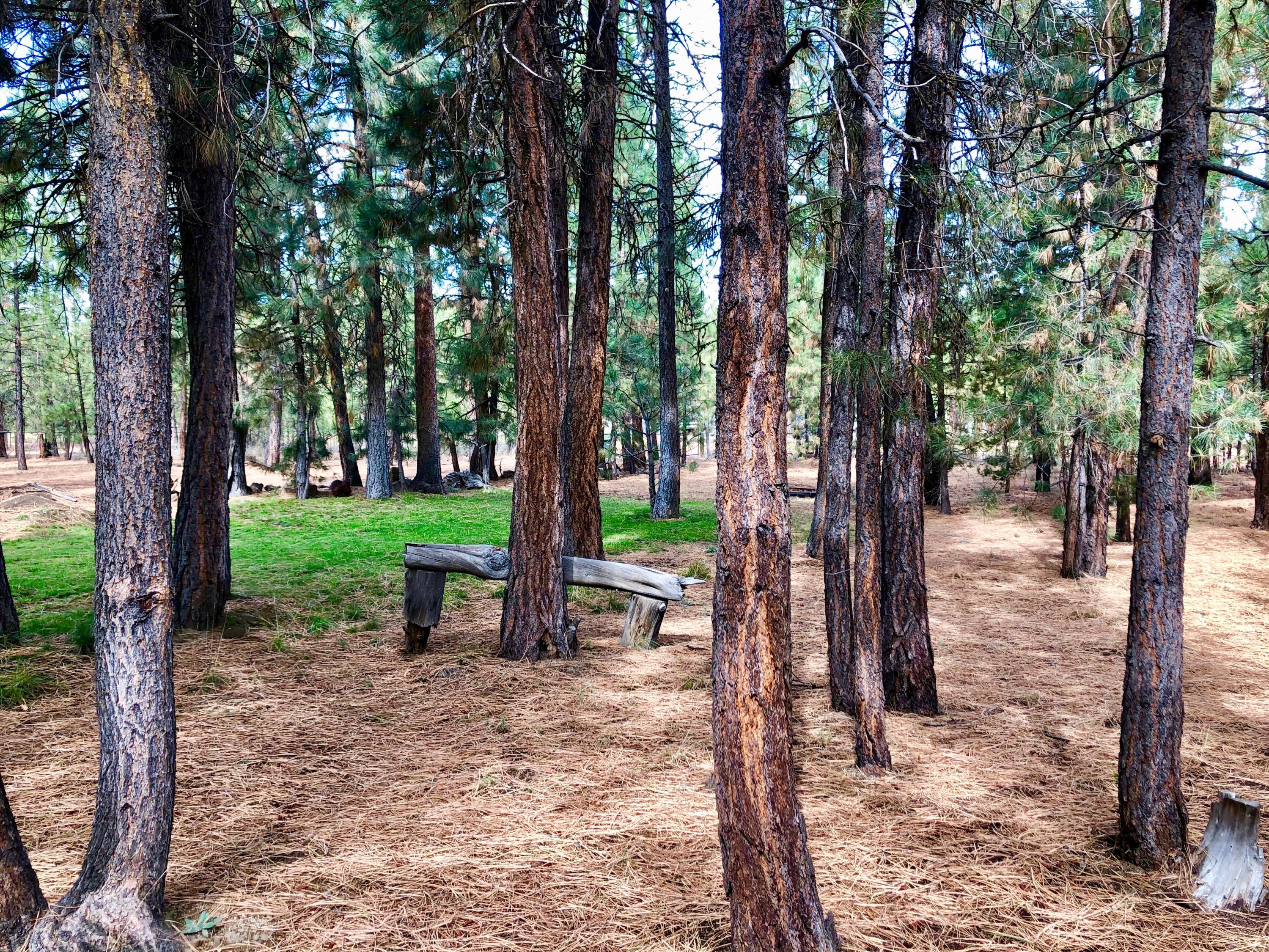 Little River Ranch - Residential