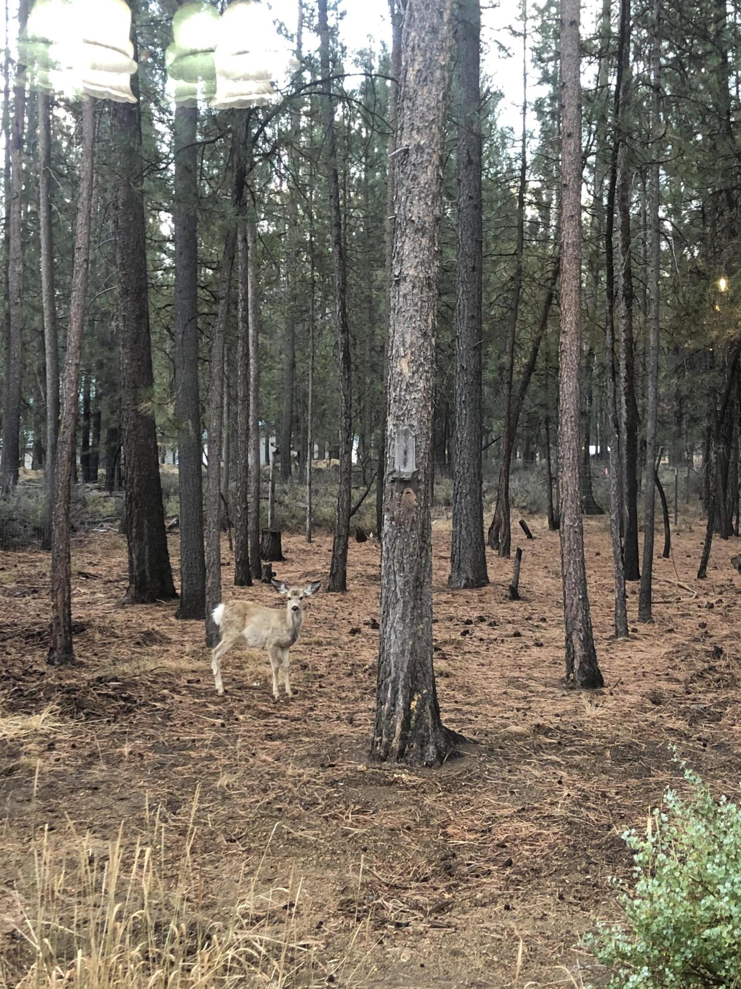 Little River Ranch - Residential