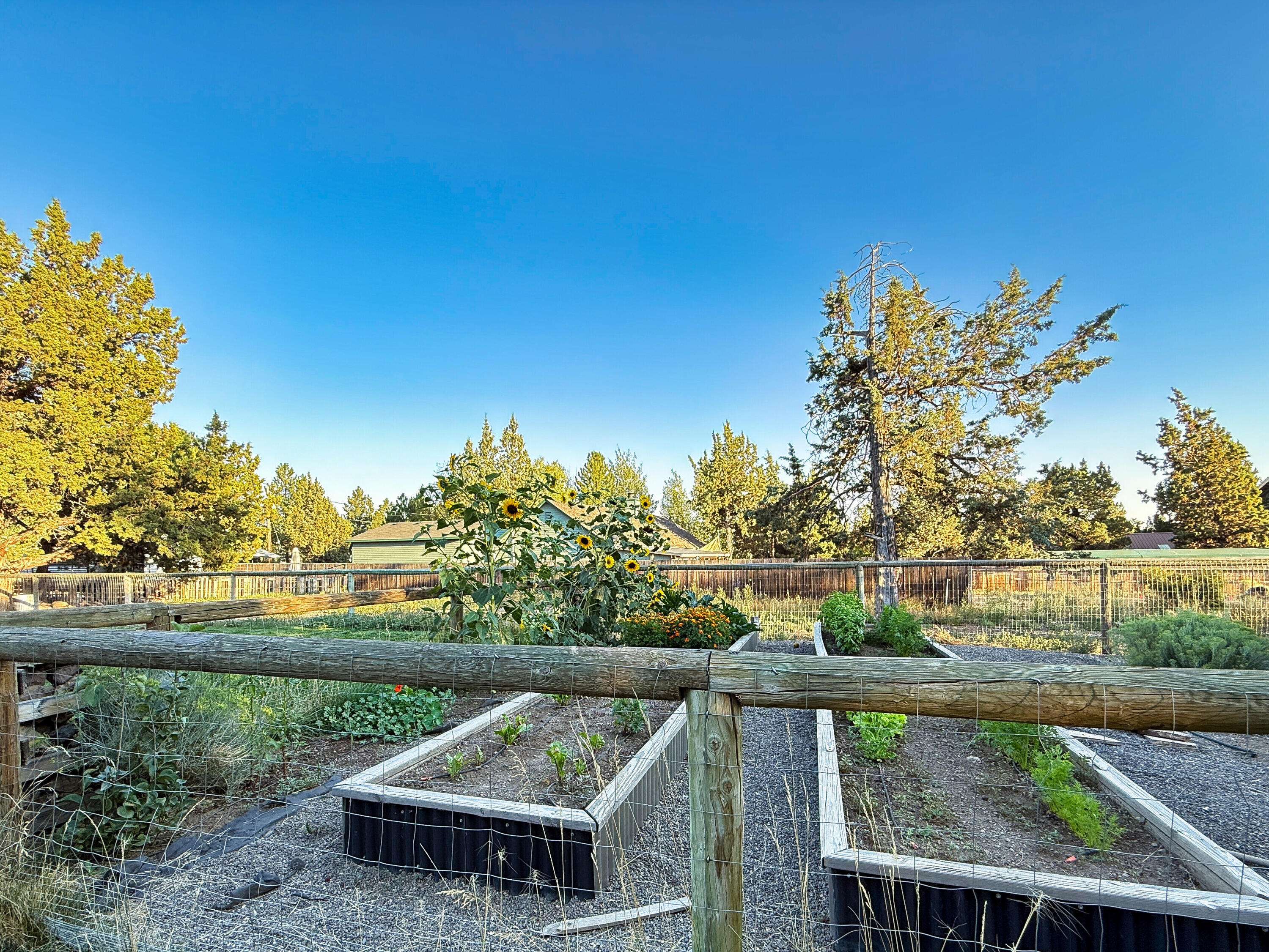 Whispering Pines - Residential