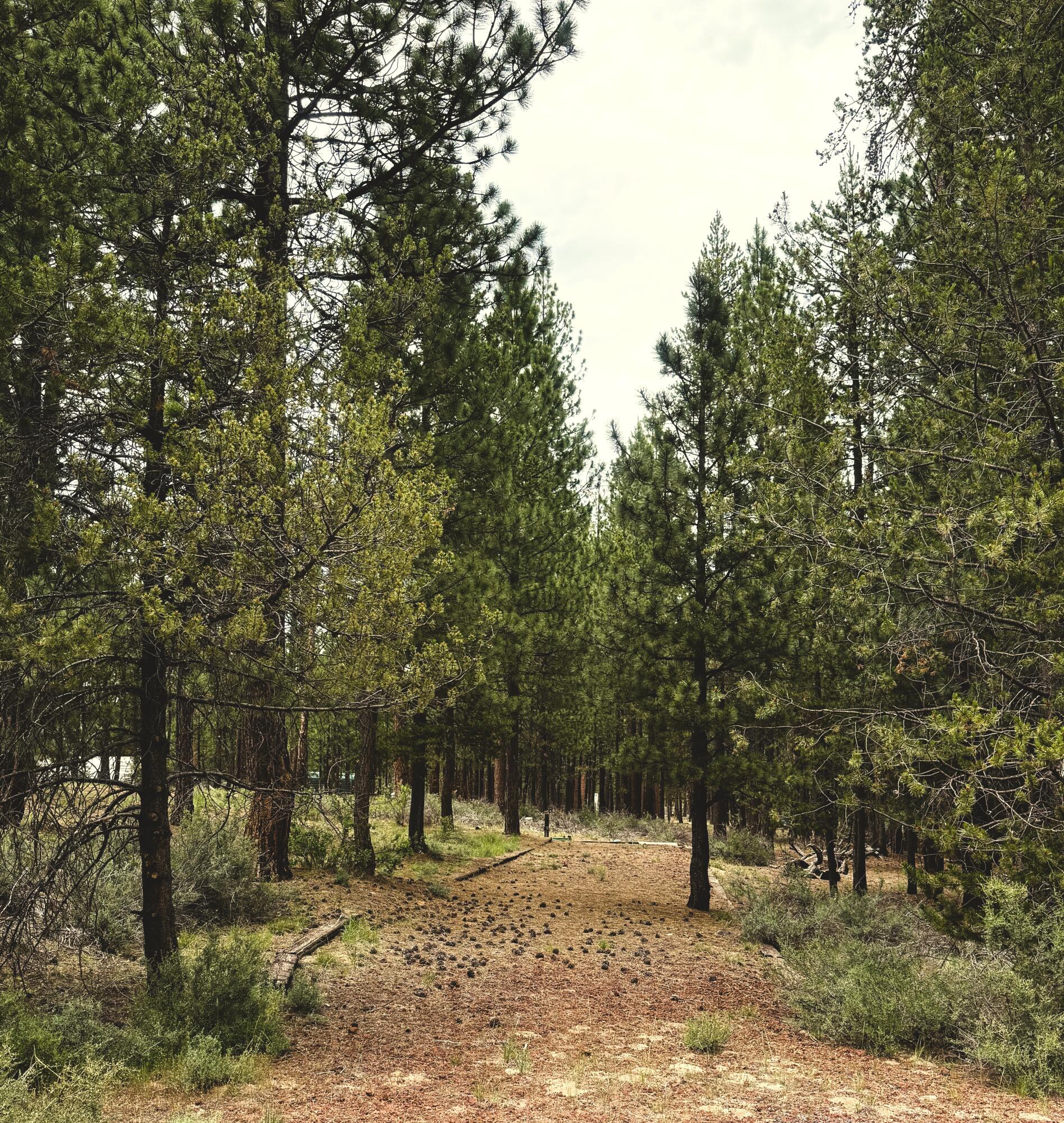 Little River Ranch - Residential