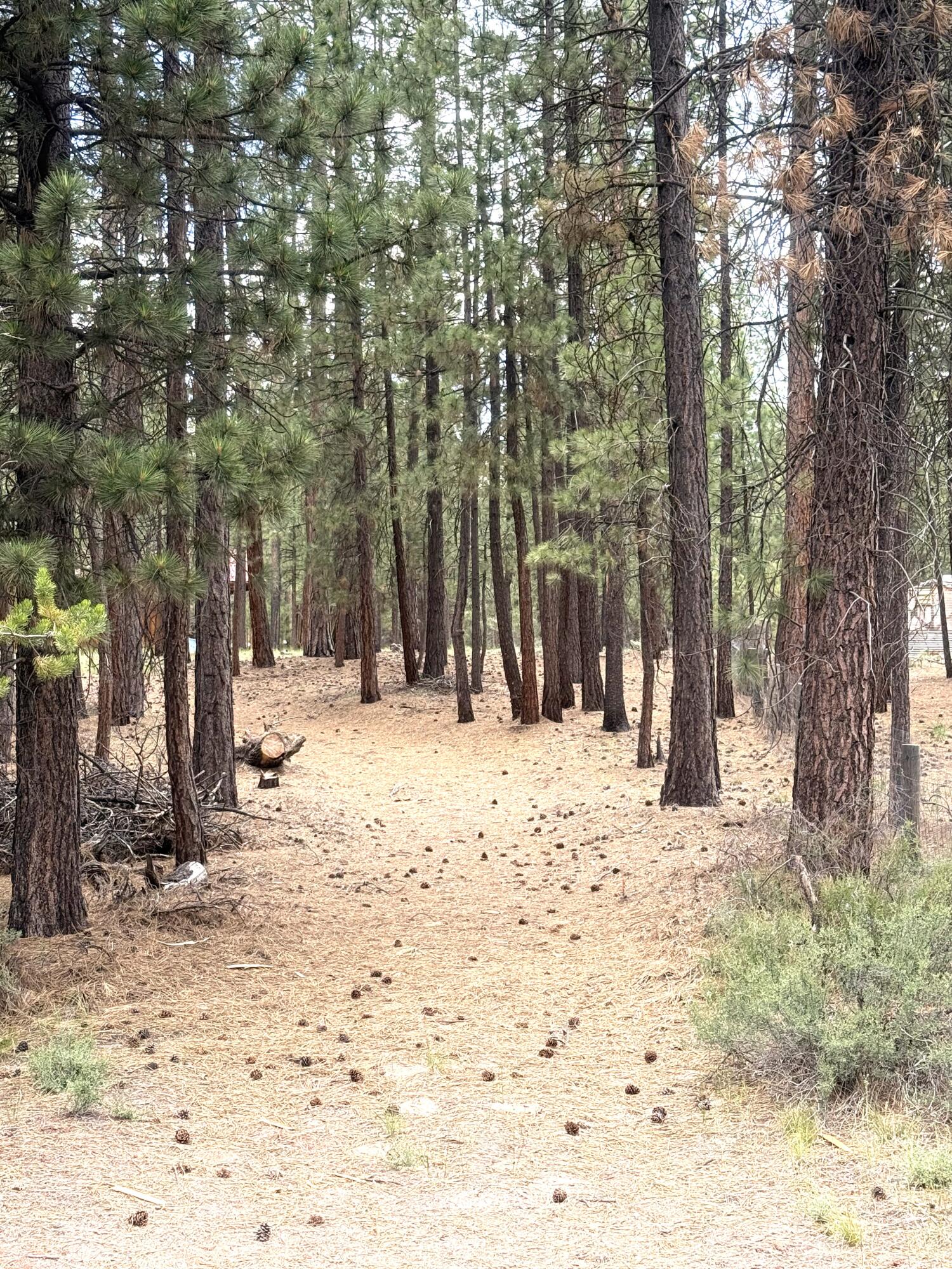 Little River Ranch - Residential