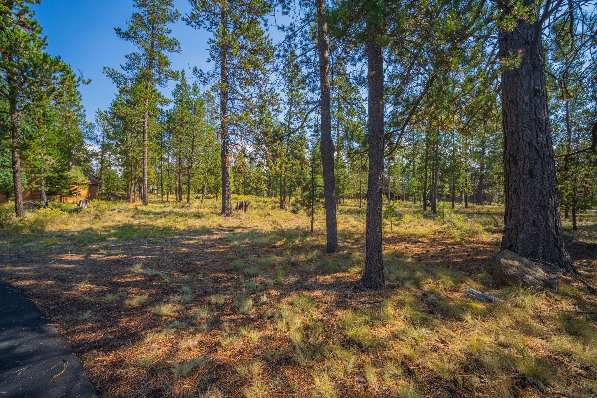 57712 Whistling Swan Lane 4