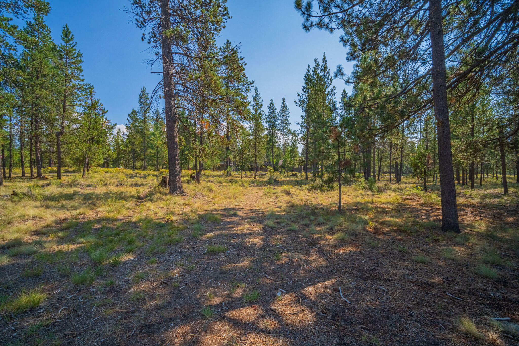57712 Whistling Swan Lane 4