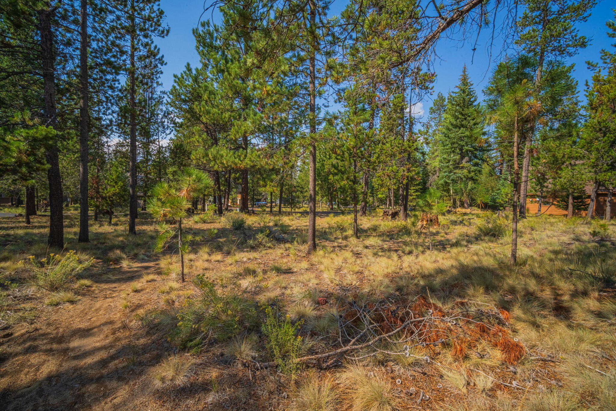 57712 Whistling Swan Lane 4