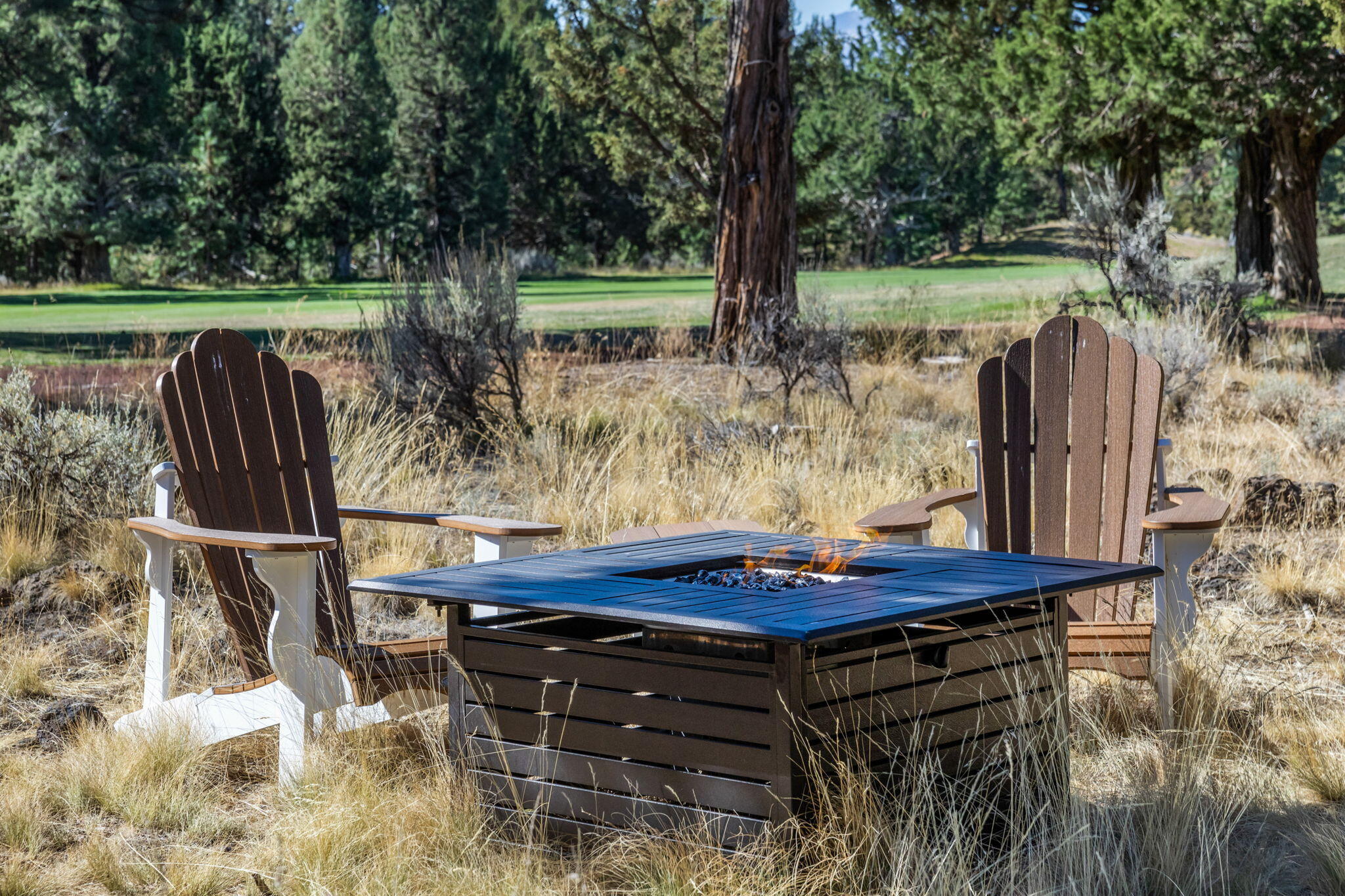 Aspen Lakes Golf Est - Residential