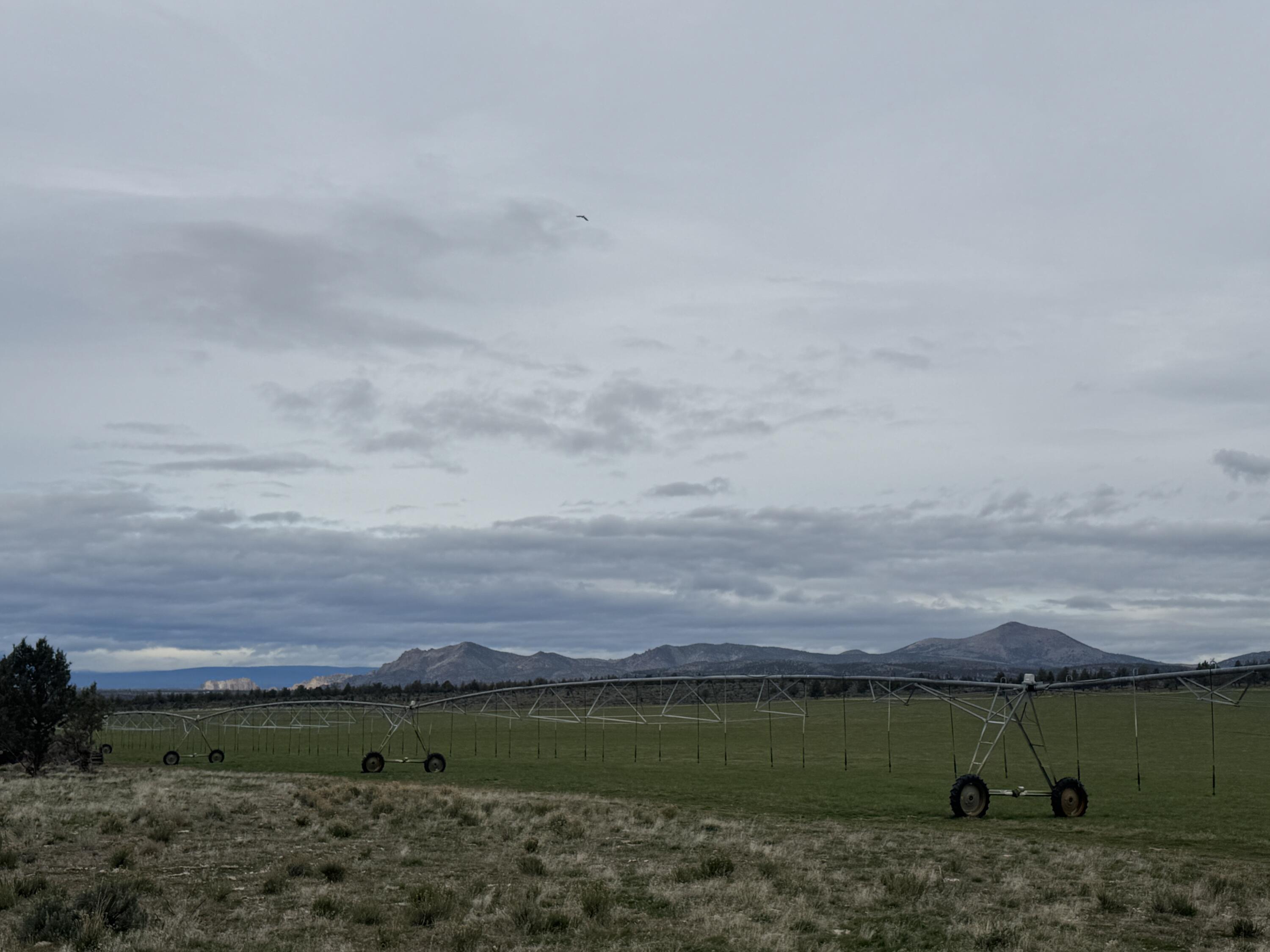 1299 NW McDaniel Road