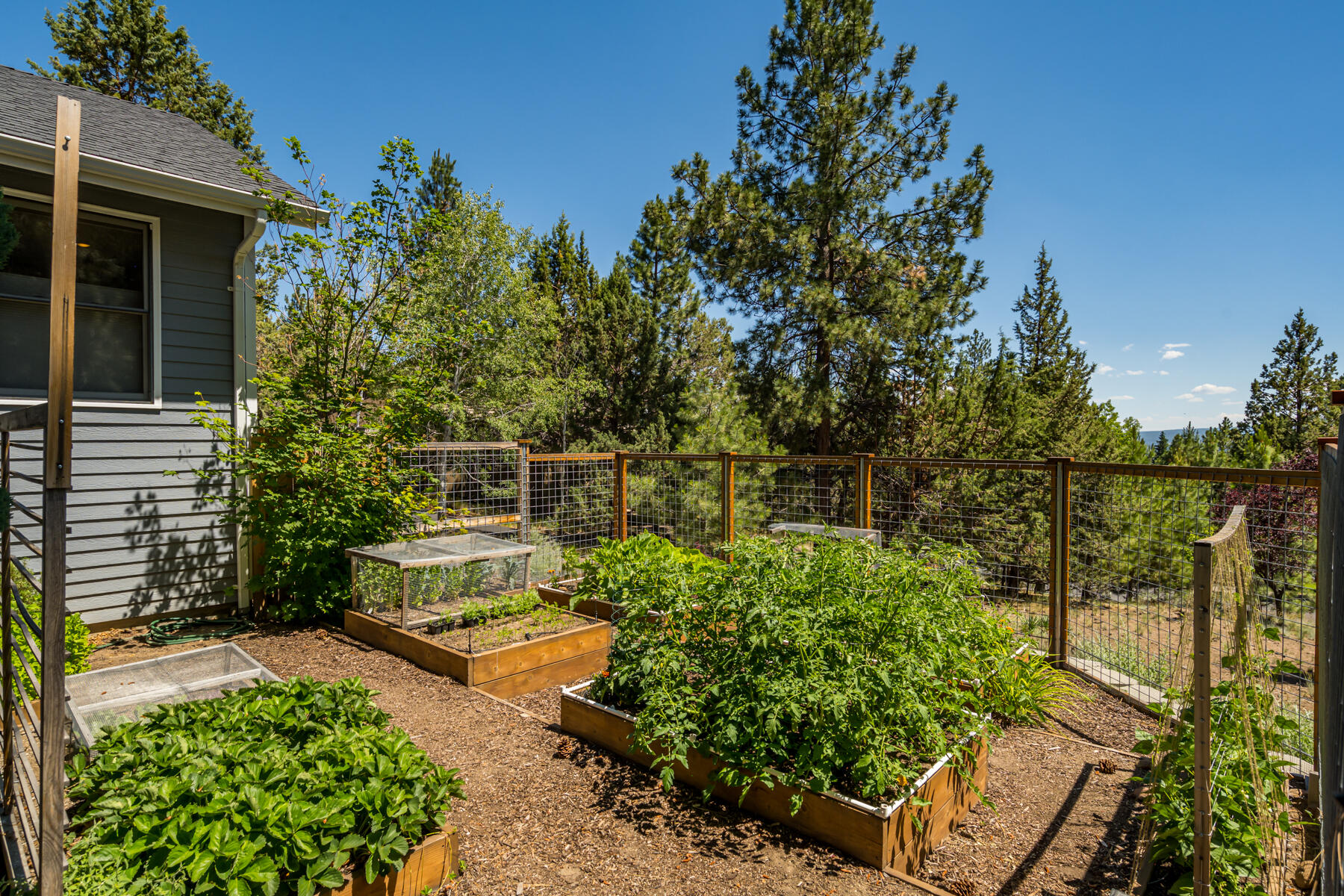 City View - Residential