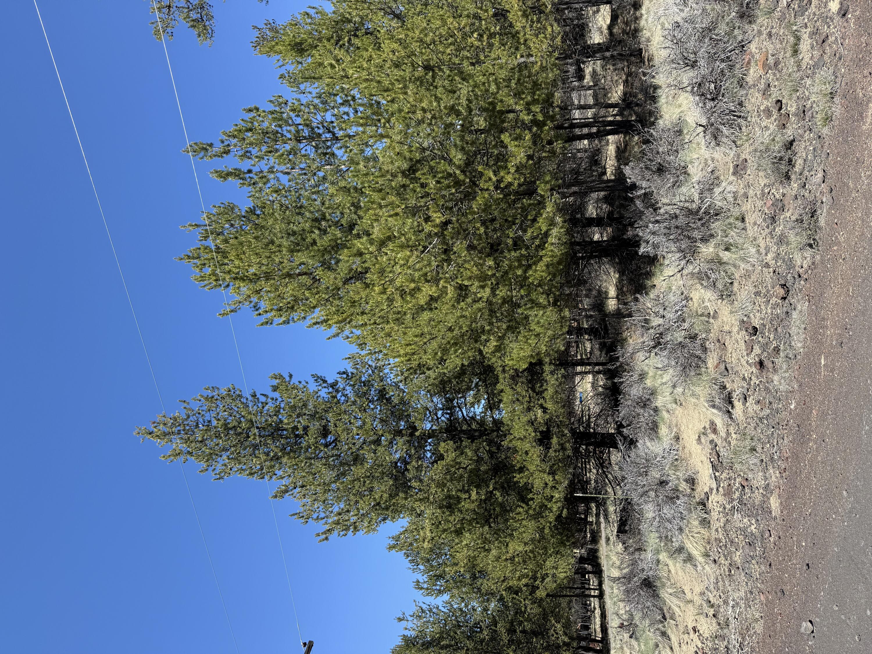 Sun Forest Estates - Land