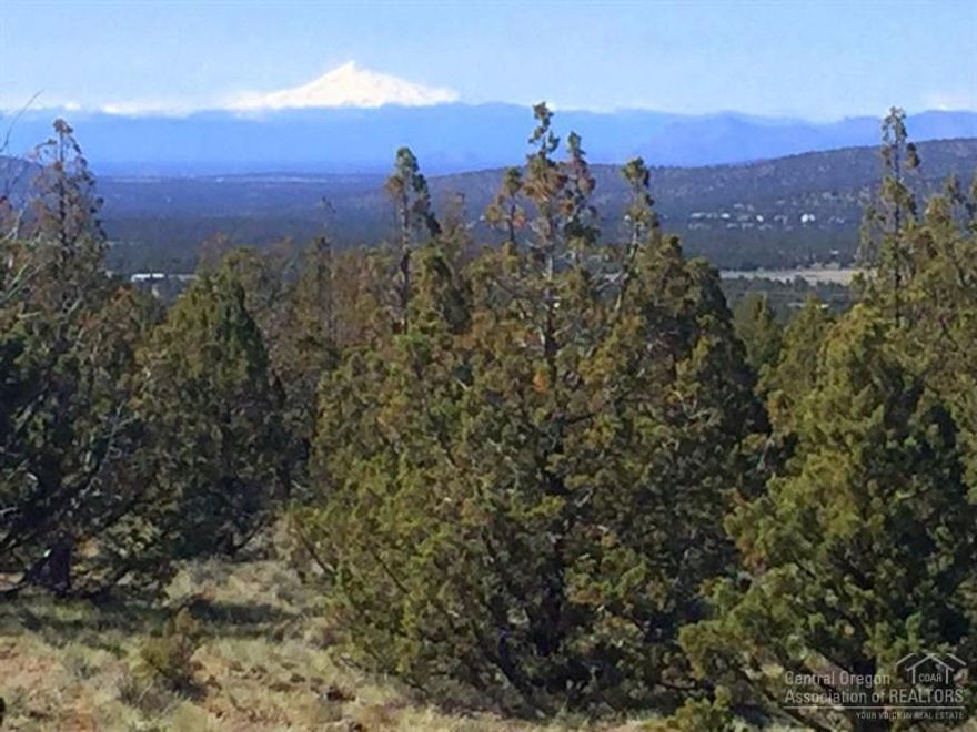 This is a great country lot with BLM lands and the Prineville Reservoir close by. The power is just 1 lot away. Bring the ATV's, horses, boat, etc. There's plenty of room for it all including a shop and/or barn! The property has a gentle slope to it, nice Cascade Mountain views and is well treed for privacy - come take a look!