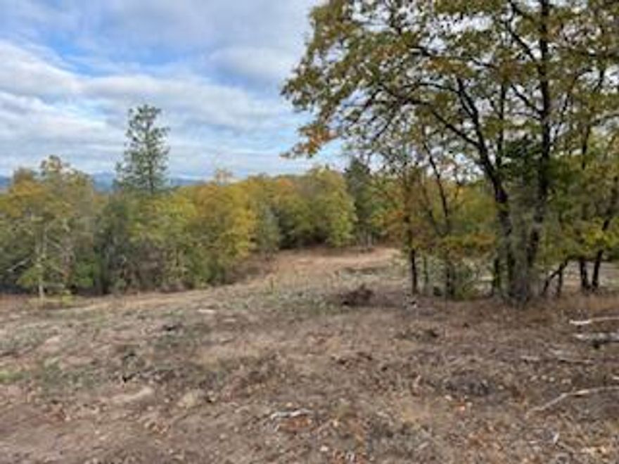 Country Living at Its Best - Build Your Dream Home Here If you've been dreaming of wide-open spaces, fresh country air, and a place to truly call your own, these beautiful lots are ready and waiting for you. Property Highlights: Wells Included: Wells will be drilled and capped by the seller on each lot. Septic Included: A 1,000-gallon standard septic system will be installed within 90 days after closing or the buyer will receive a $10,000 credit. Power: Electricity is available right at the property line. Building Requirements: CCRs require a minimum 1,800 sq. ft. home — but no HOA and no monthly fees. Buyer to Complete: Installation of the well pump, pressure tank, wiring, and plumbing from the well to the home. Additional Information: All information is deemed reliable but not guaranteed and is subject to change. Buyers are encouraged to conduct their own due diligence. These spacious country lots offer the perfect blend of peace, privacy, and potential.