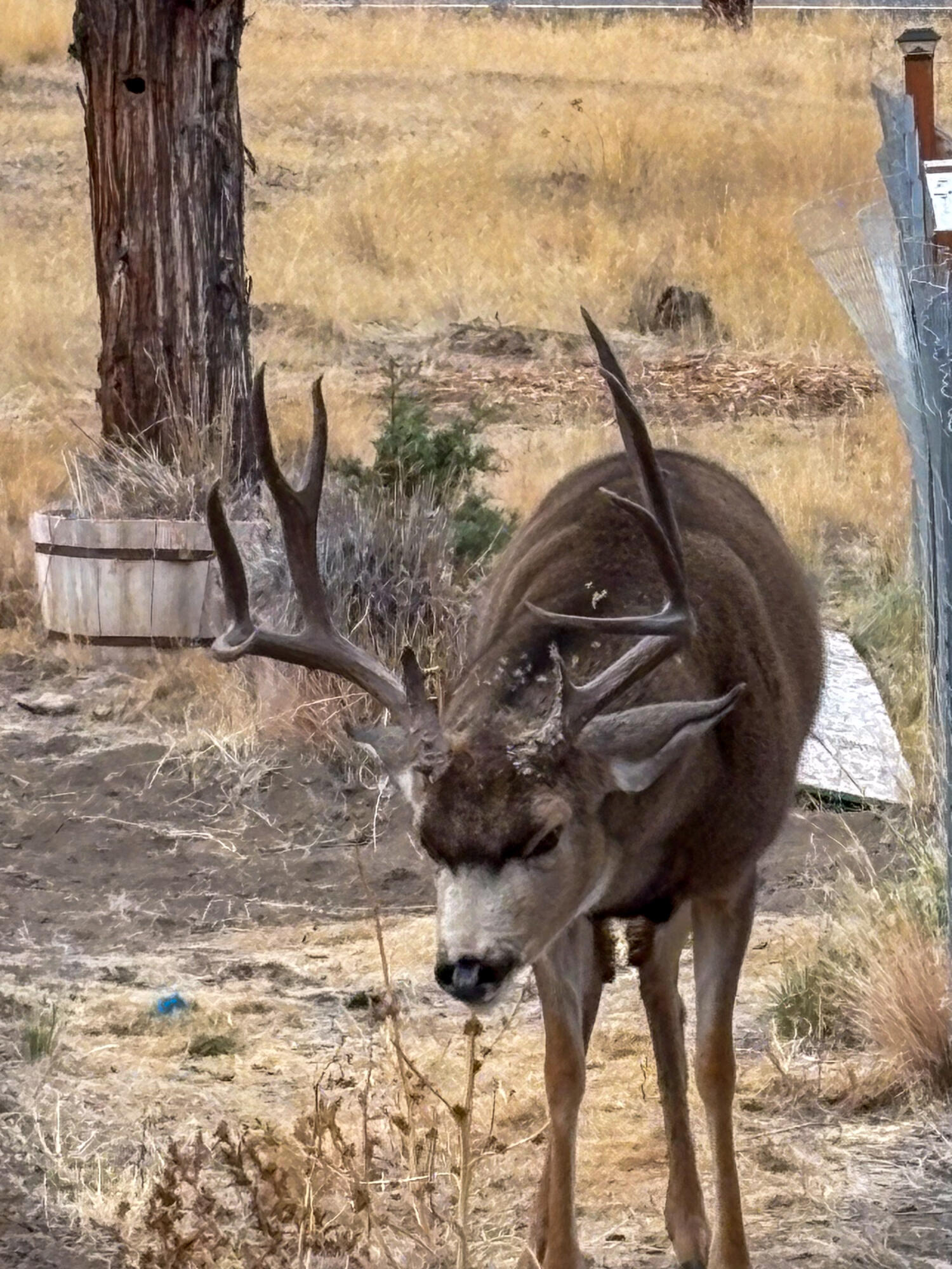 Crr9_C - Residential