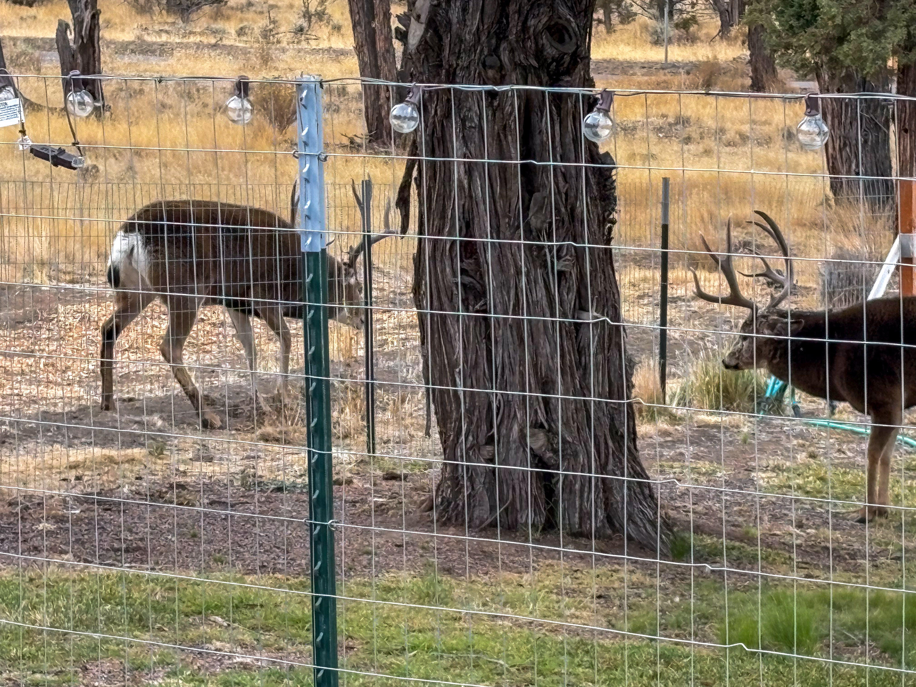 Crr9_C - Residential