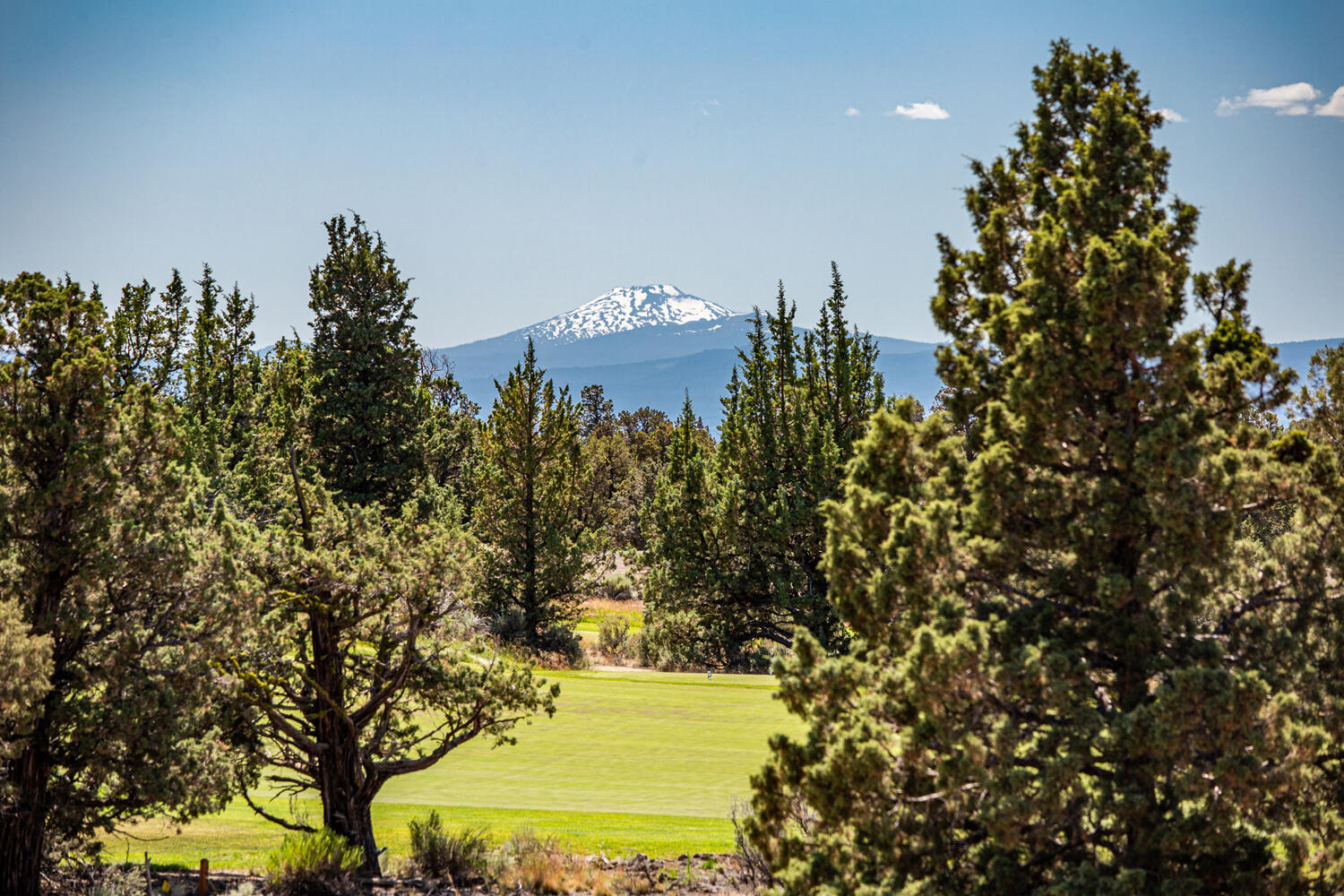 65615 Ghost Tree Court Lot 315