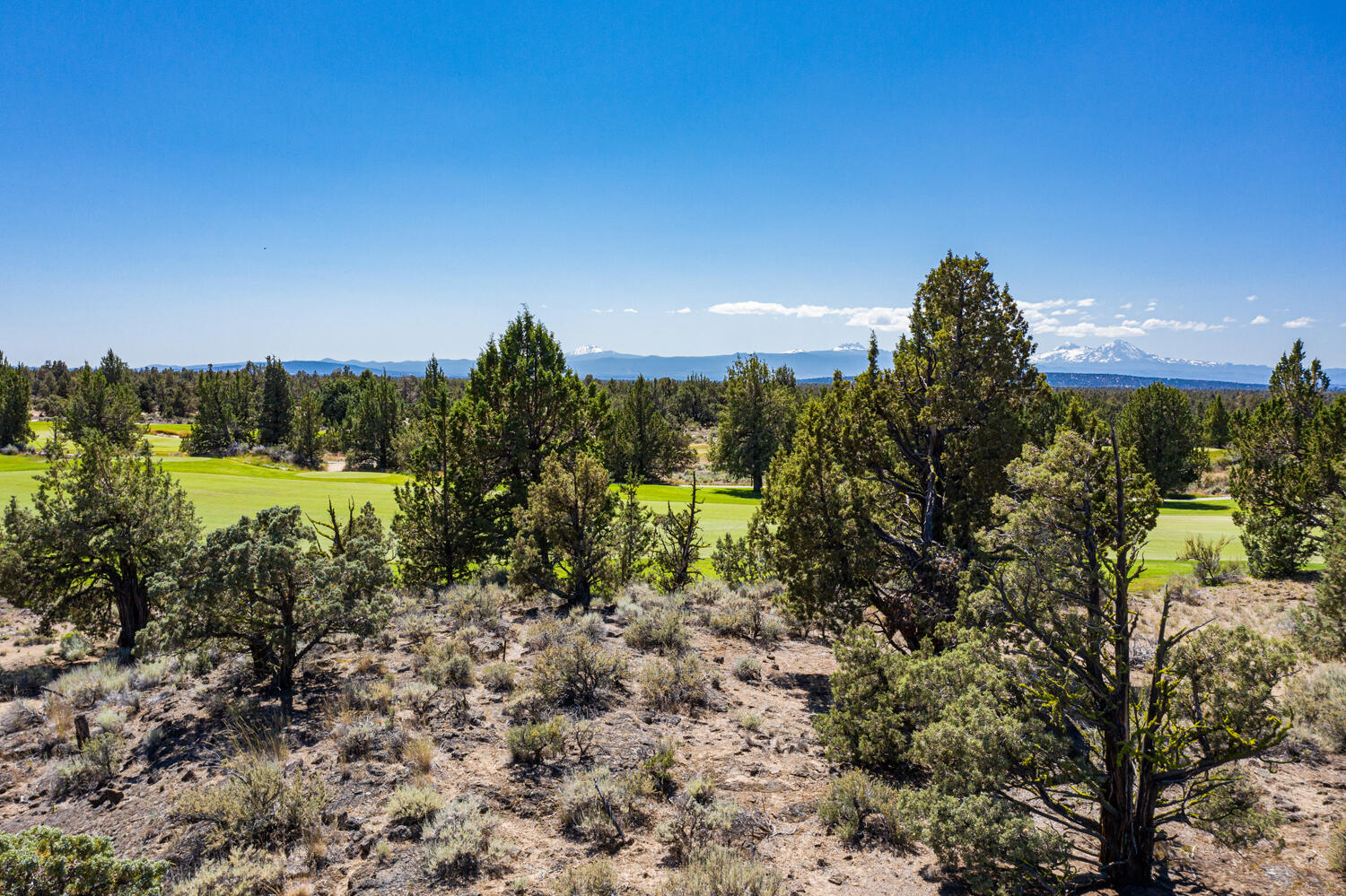 65615 Ghost Tree Court Lot 315