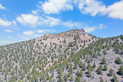 Tiny photo for 16305 N East Ochoco Highway, Prineville, OR 97754 (MLS # 220223785)
