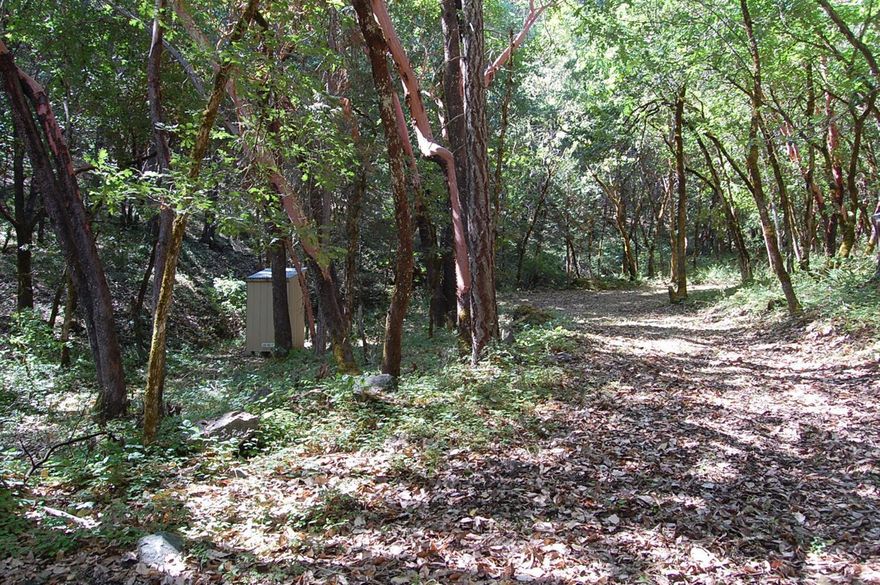 The 2.58 acres has a roughed in road up to a small clearing. The property is heavily wooded and goes from a moderate slope at the bottom of the property and appears to get steeper towards the back. The property is backed by BLM. There is a well on the property. The owners acquired the property from their mother and have no knowledge about anything.