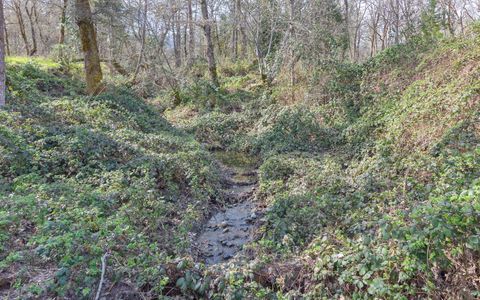 Tiny photo for 444 Sheraton Drive, Williams, OR 97544 (MLS # 220217827)