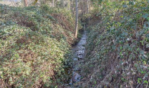 Tiny photo for 444 Sheraton Drive, Williams, OR 97544 (MLS # 220217827)