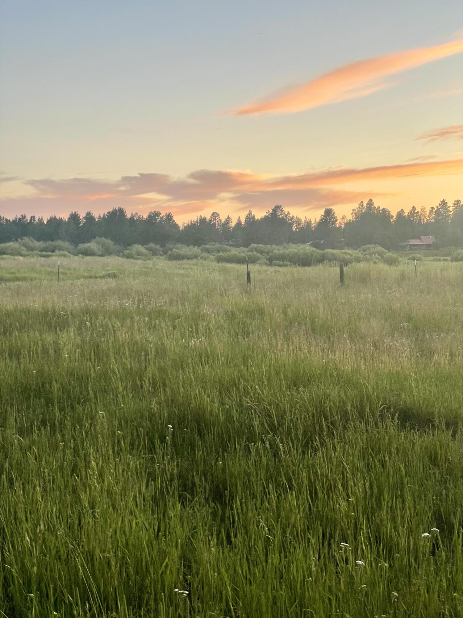 Lazy River - Residential