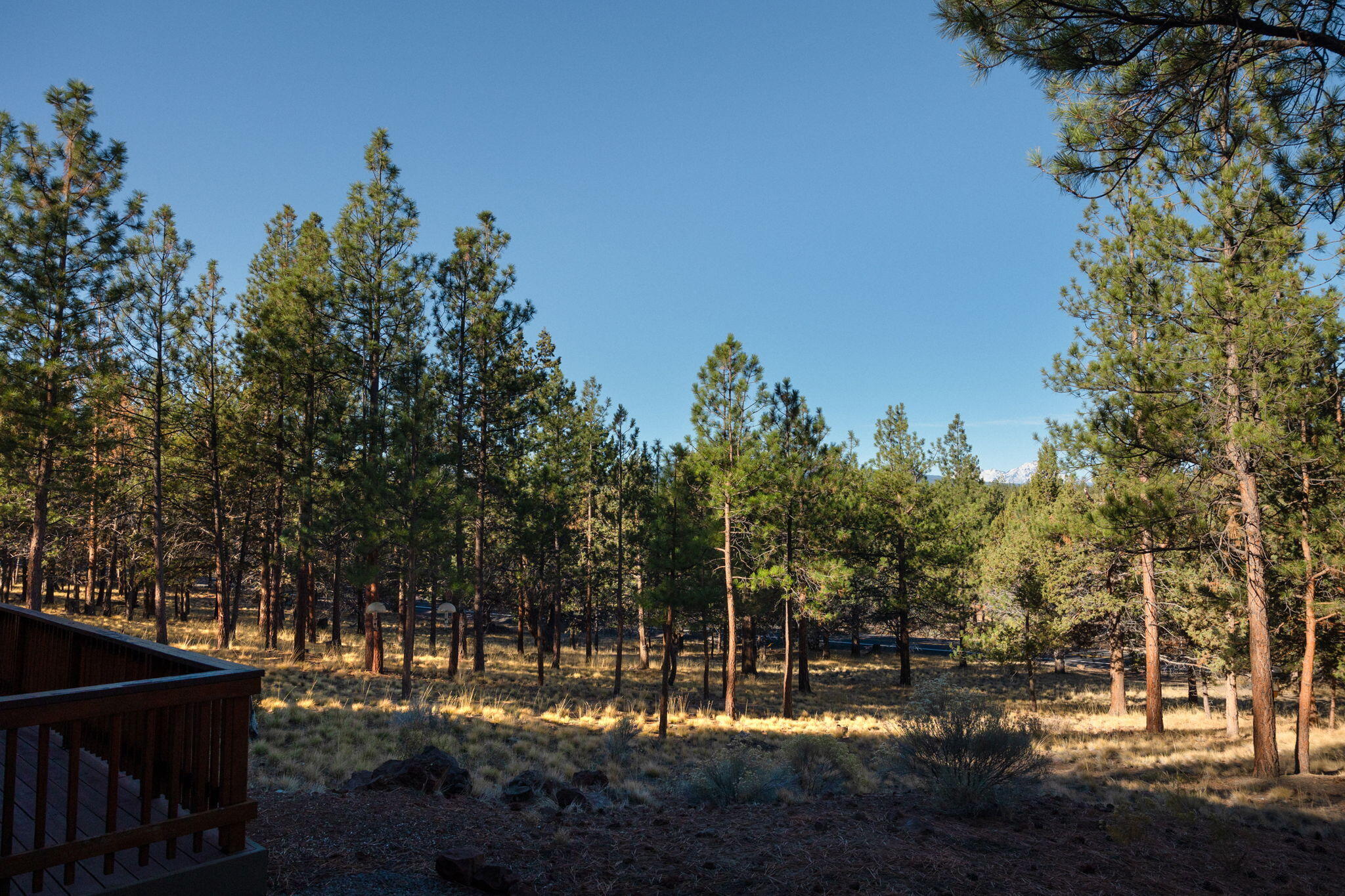 Saddleback - Residential