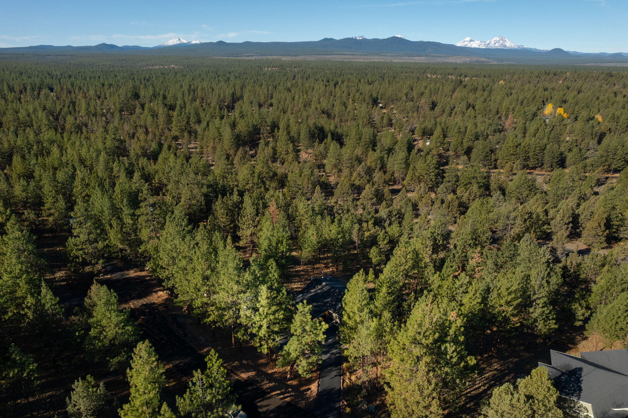 Saddleback - Residential