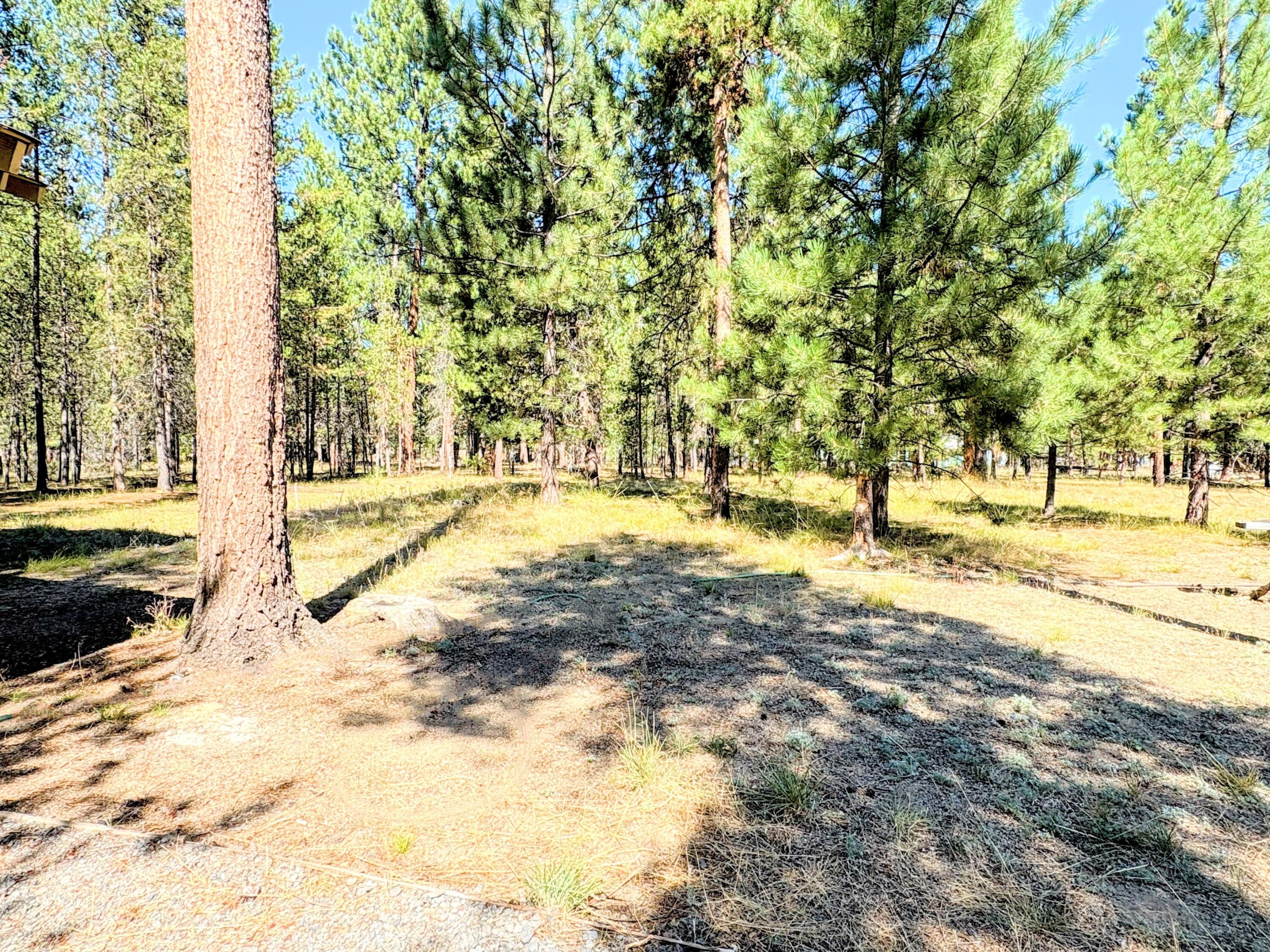 River Pine Estates - Residential