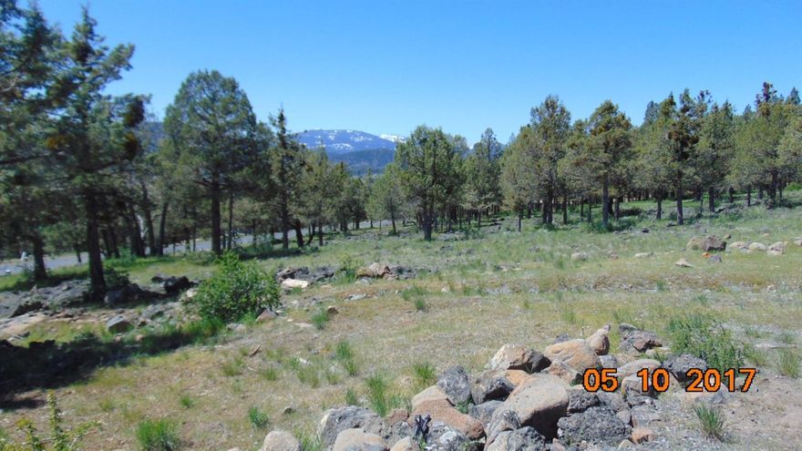 View! View! View! This is an all improved home site at the Running Y Resort, Southern Oregon's Premier Resort Community on the east slopes of the Cascade Mountains. our Community Wells provide clean and un-treated water, with sewer and natural gas right to the property line. Look over a 6,000 acre farm property, which is a mosaic of colors all year long. Live! Work! and Play in this wonderland of trees,tees and trails with the only Arnold Palmer Golf course in the North Western USA. Enjoy all then amenities of the Running Y. 3 restaurants,indoor pool, sauna,Spa, 82 room Lodge, grocery and liquor store, with a 7500 sq.ft. Conference Center.