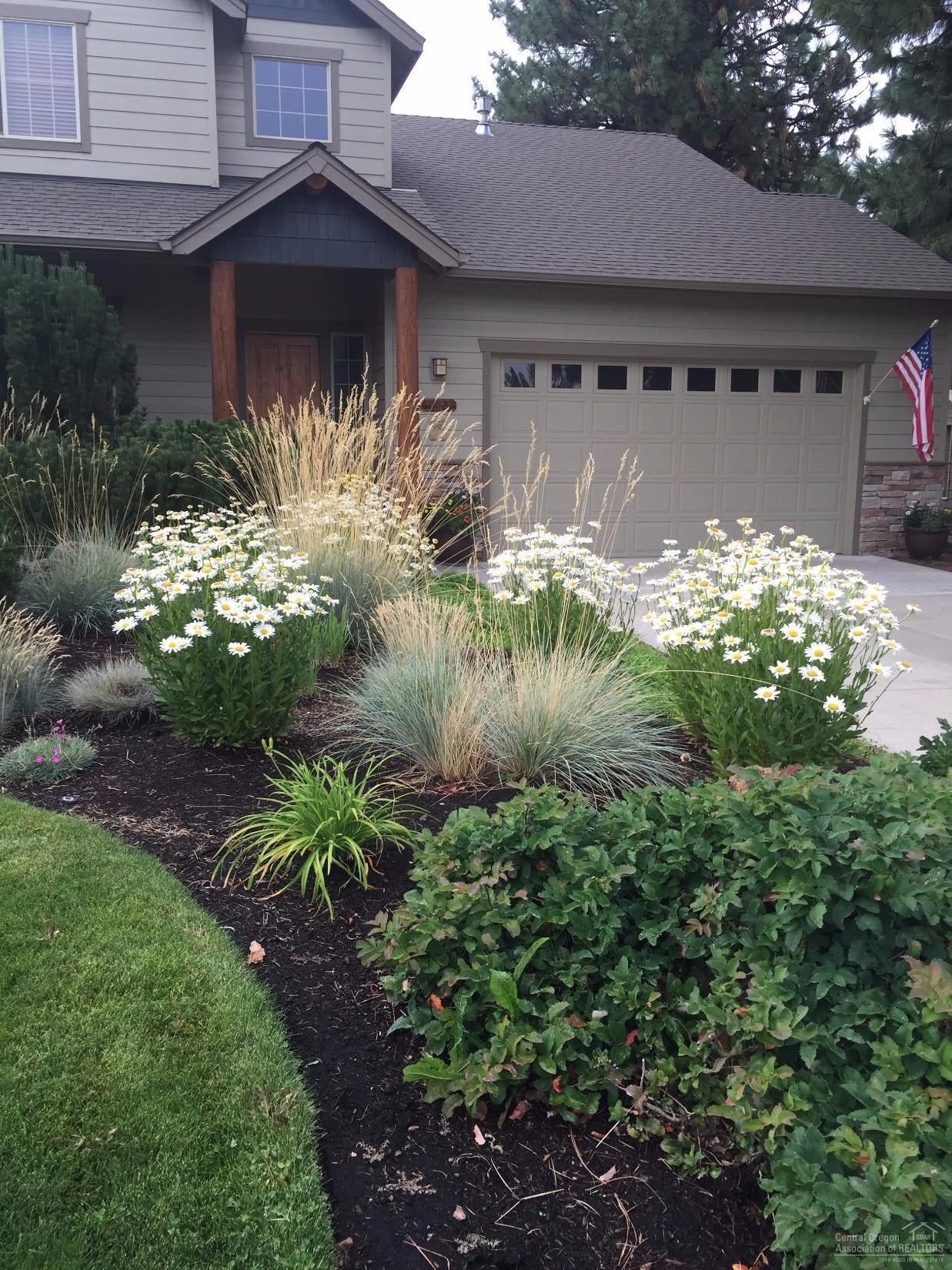 Mountain Pine - Residential