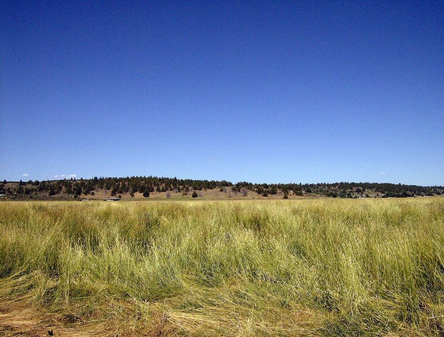 A hunter and fisherman's dream, 10.65 acres on the Sprague River! River front property to build your dream home or vacation getaway. Let's make a deal!