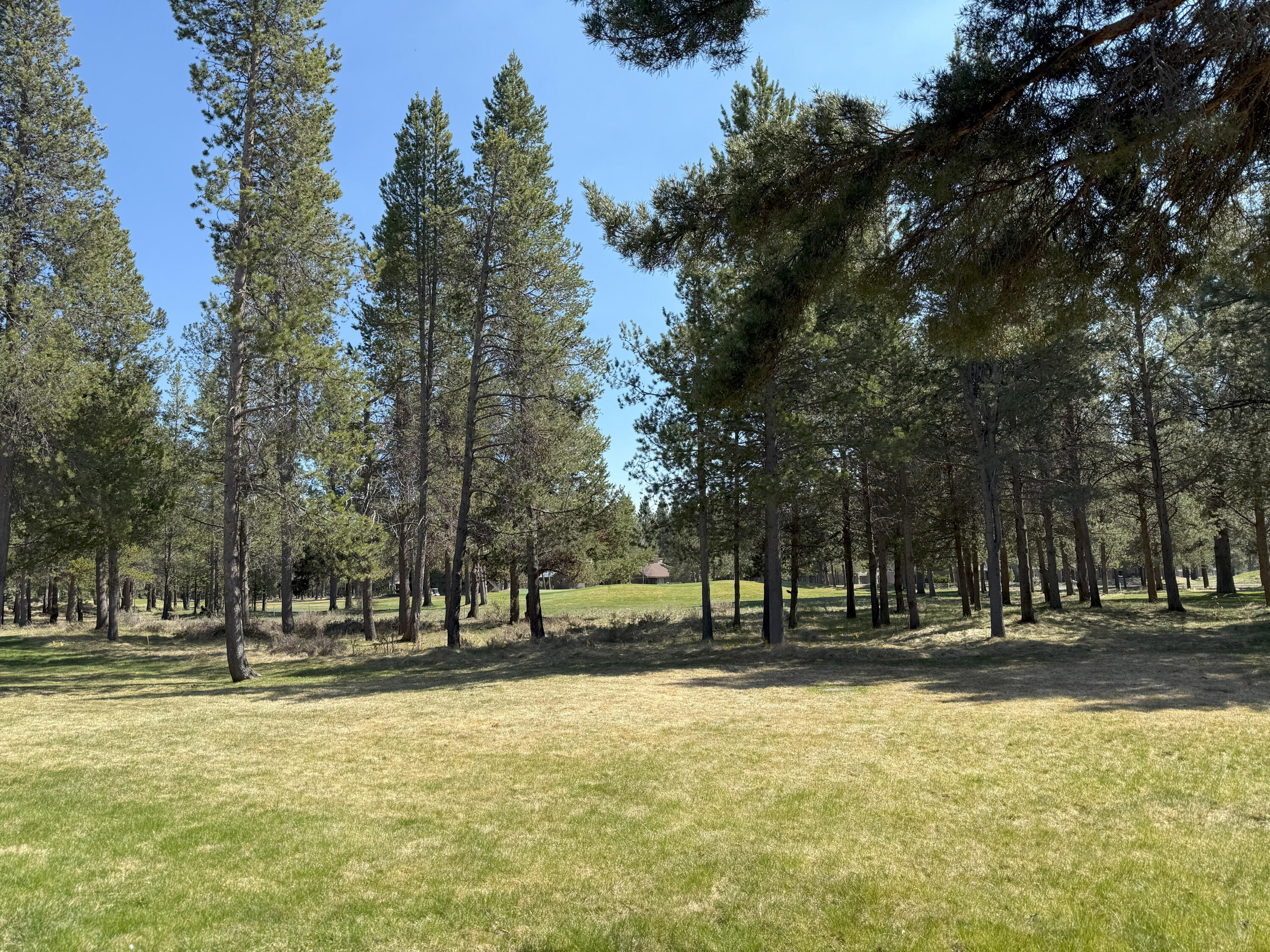 17733 Meadow House Court 72