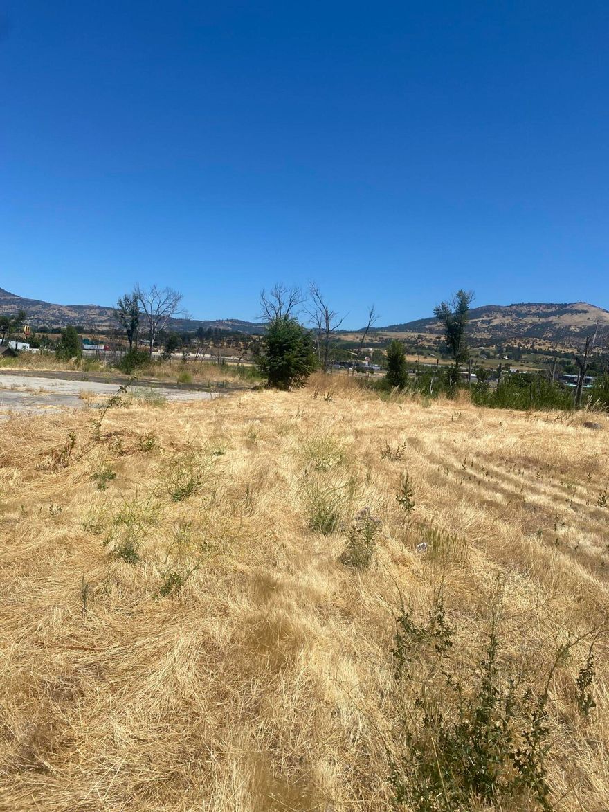 Location, location, location!  Great high traffic location in Phoenixl.  The structures on the property burned during the 2020 fire.  FEMA has cleared the property and it is ready for new beginnings.  A new sewer line has been installed out to the street from where the residence once stood and natural gas is to the property line.  This 0.62 acre lot has son many possibilities; auto repair, landscaping center, salon, restaurant or ????