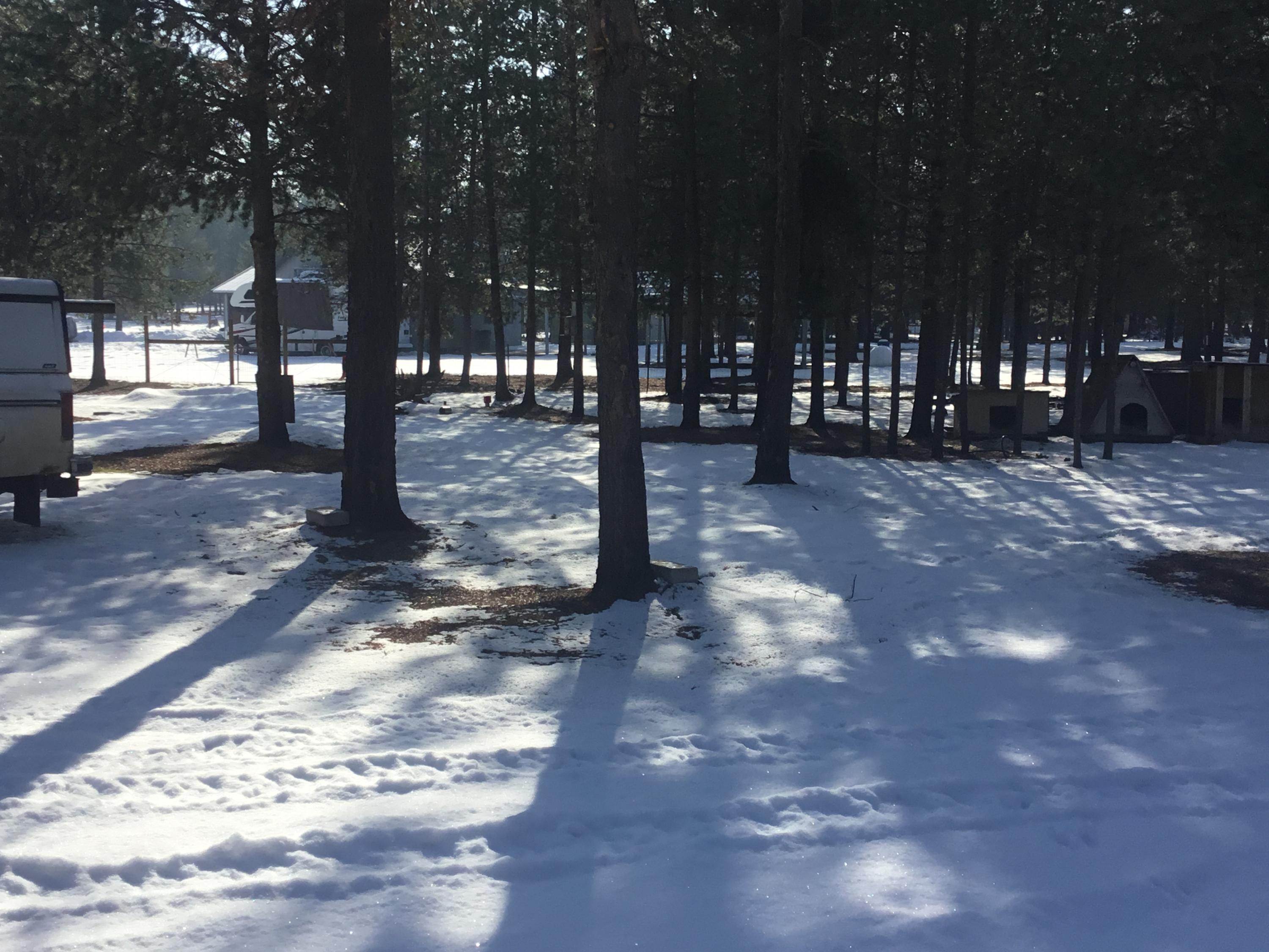 Tall Pines - Residential