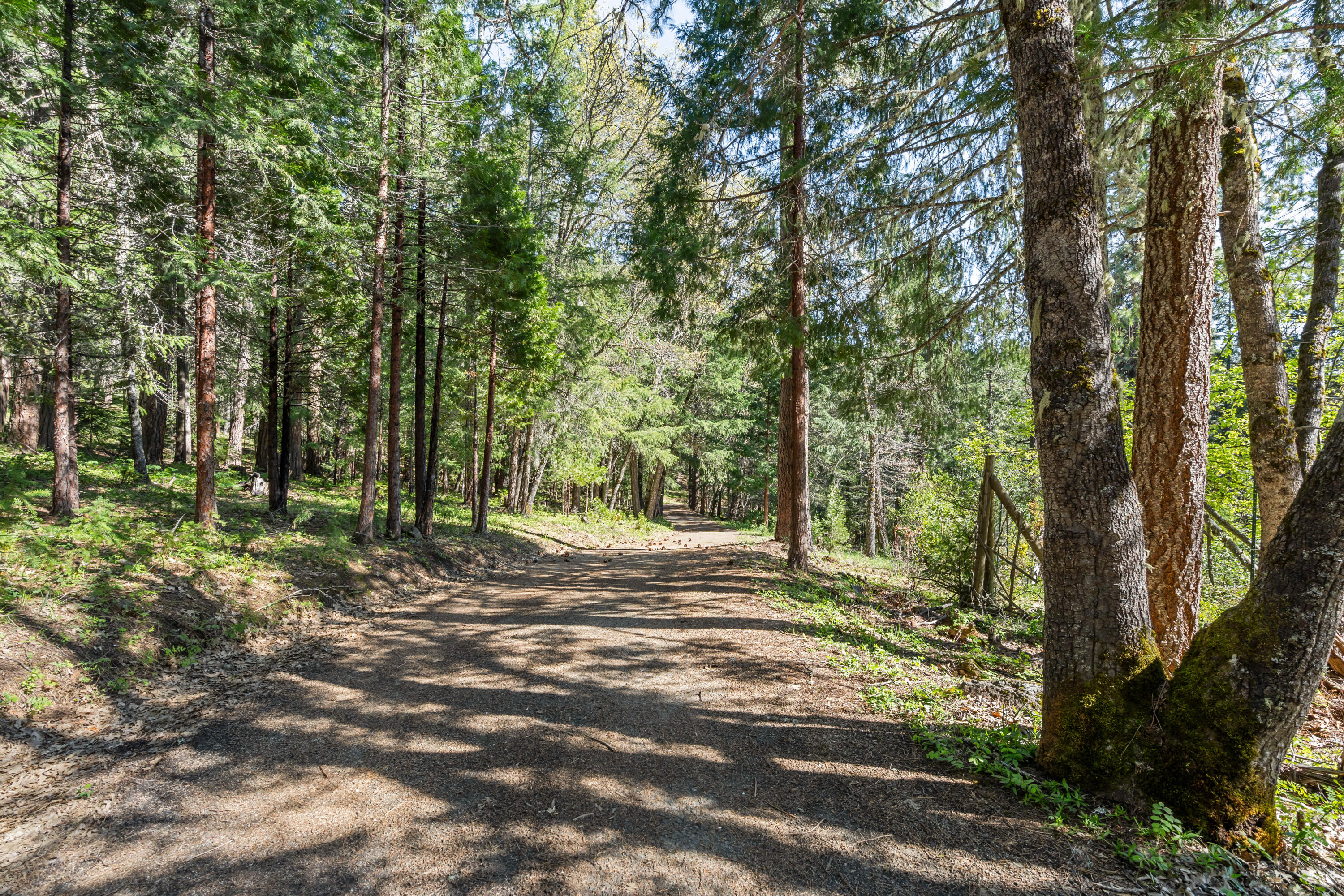 827 Tyler Creek Road