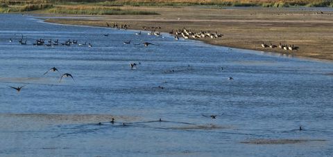 Tiny photo for 22566 Highway 140, Adel, OR 97620 (MLS # 220210443)