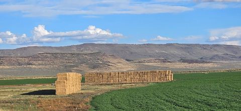 Tiny photo for 22566 Highway 140, Adel, OR 97620 (MLS # 220210443)