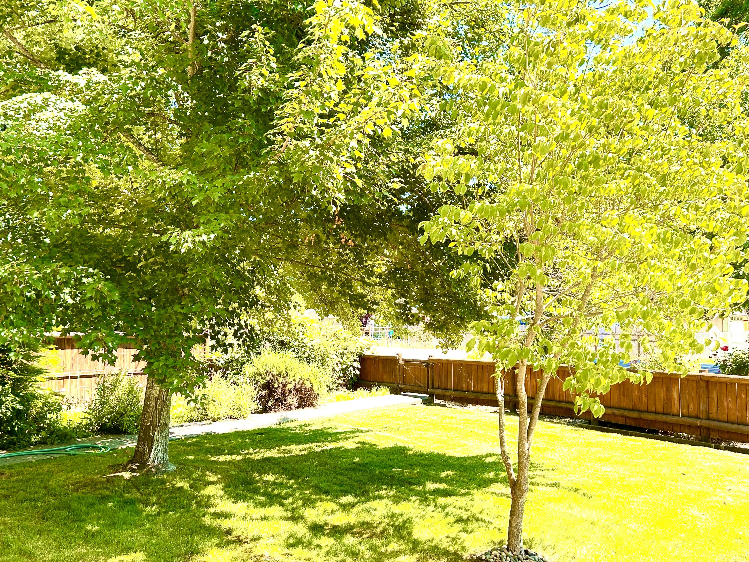 Maple Park Estates - Residential