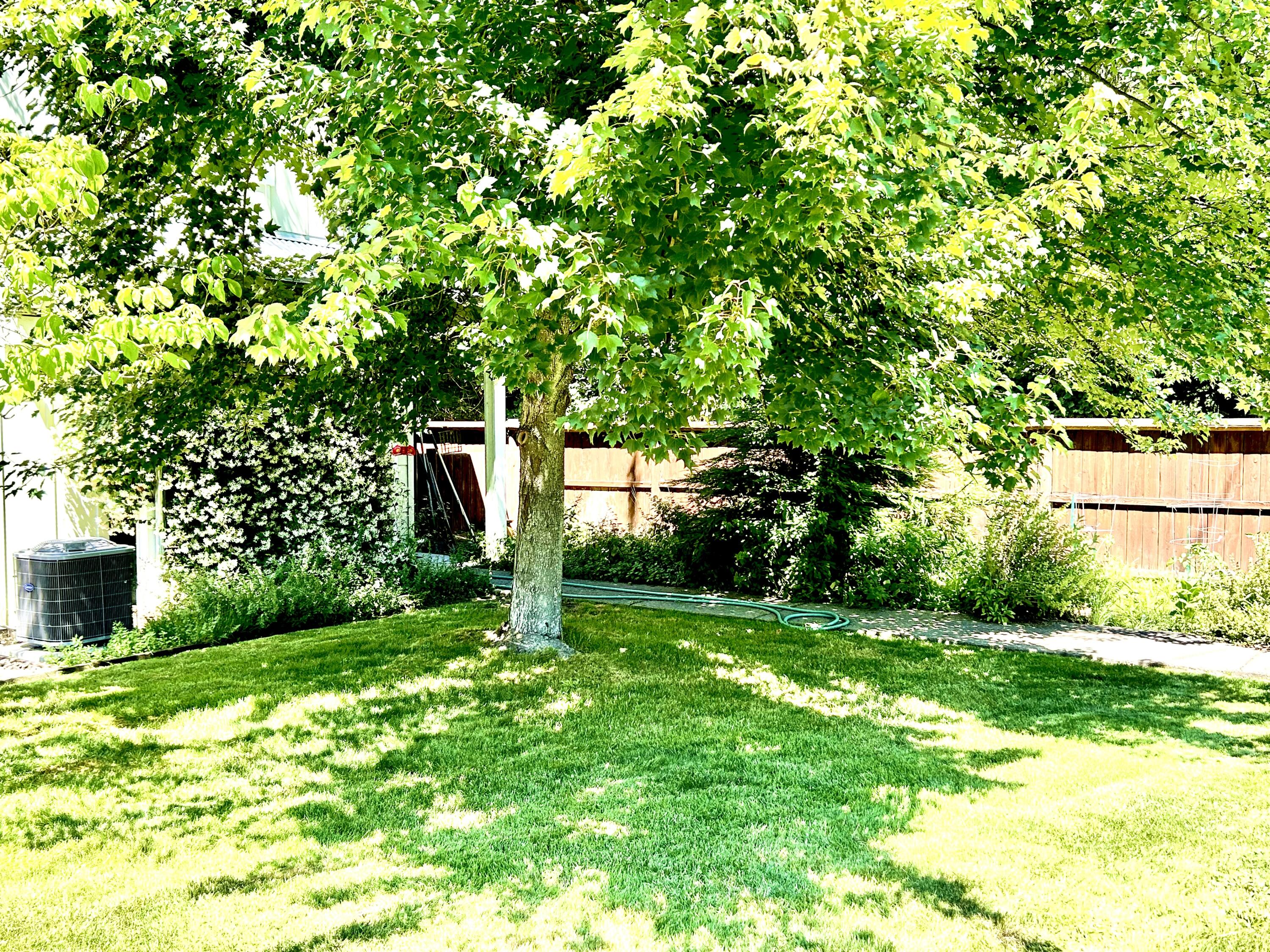 Maple Park Estates - Residential