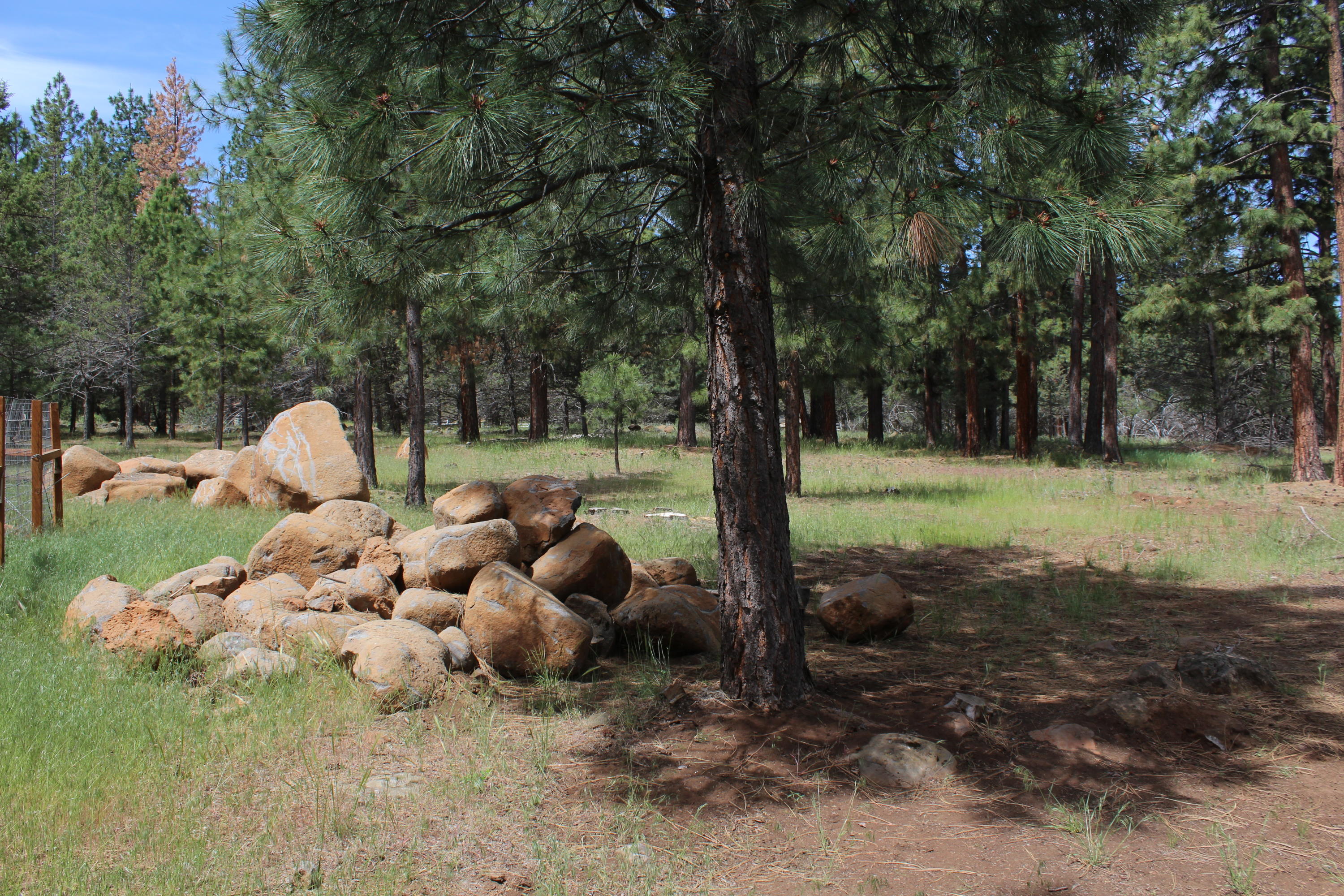 Cedar Trails - Residential