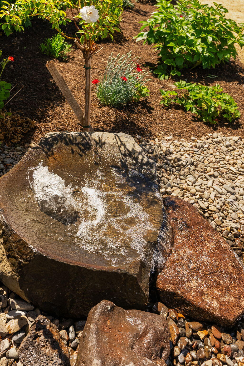 Petrosa - Residential