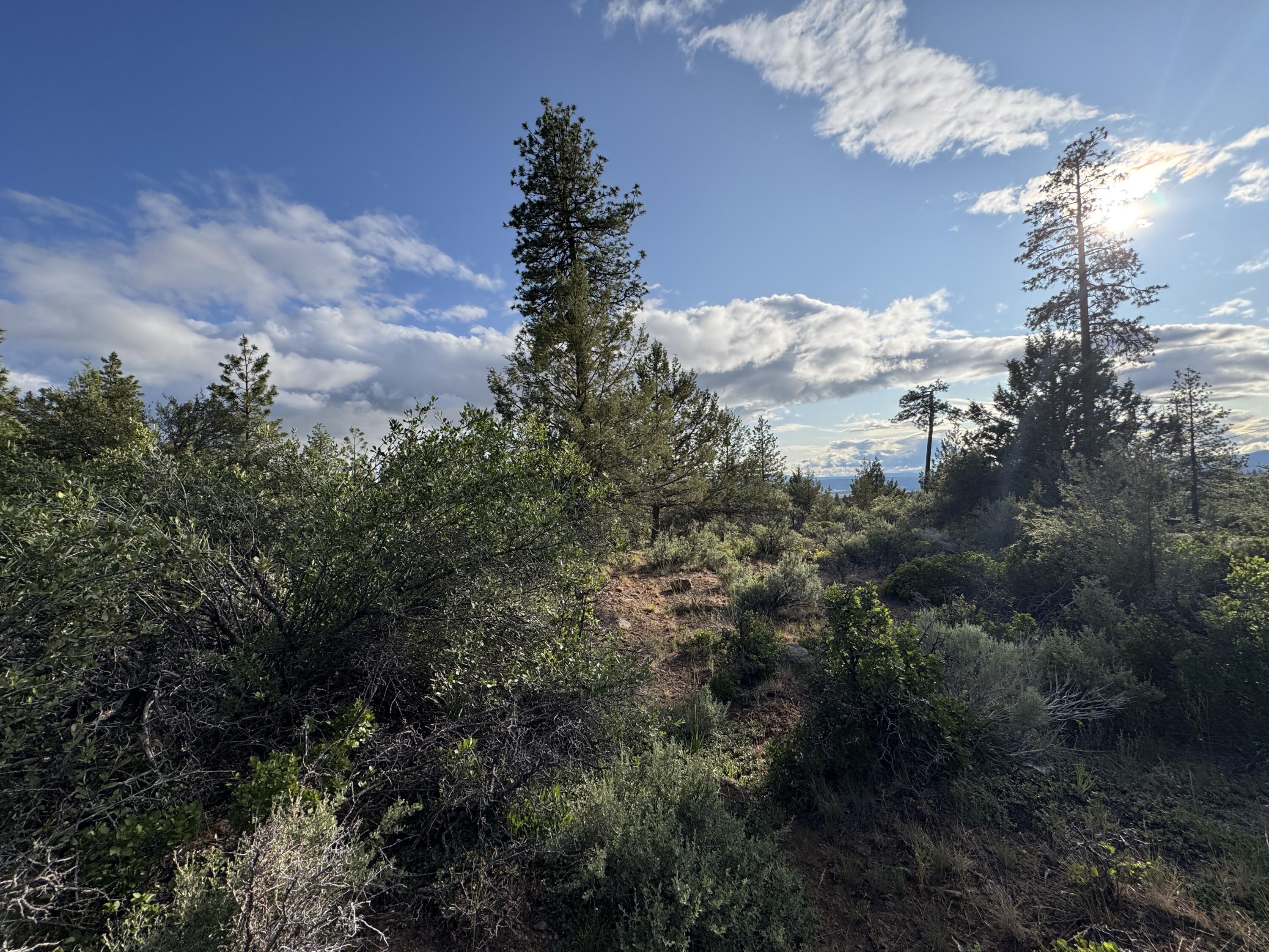 Klamath Falls Forest Estates -Sycan Unit - Land