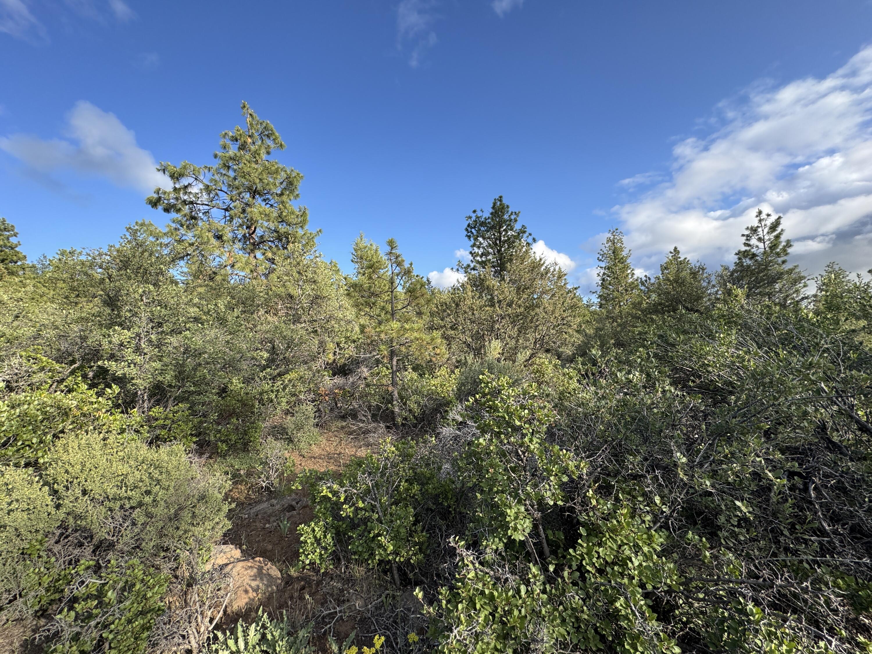 Klamath Falls Forest Estates -Sycan Unit - Land