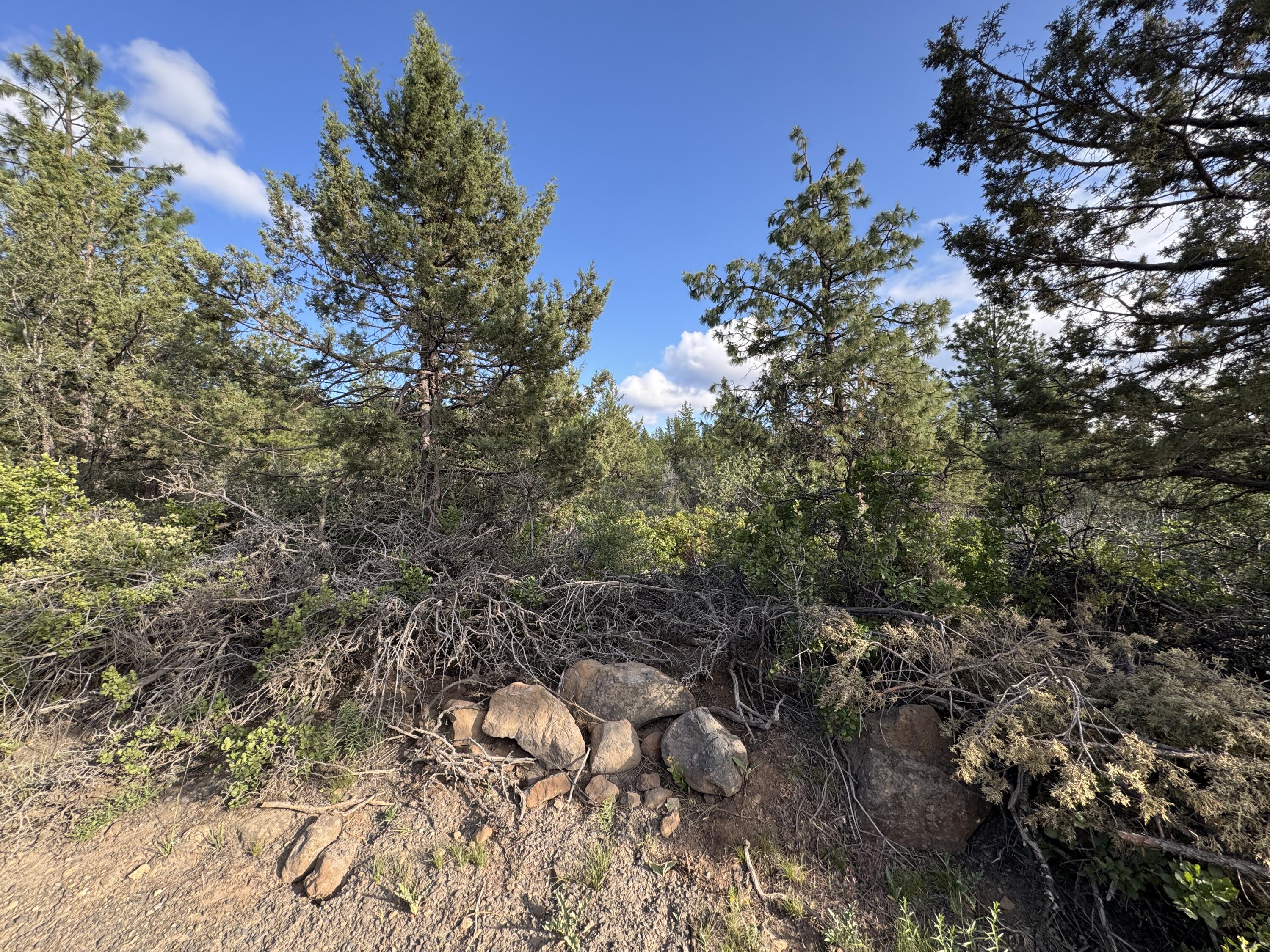 Klamath Falls Forest Estates -Sycan Unit - Land