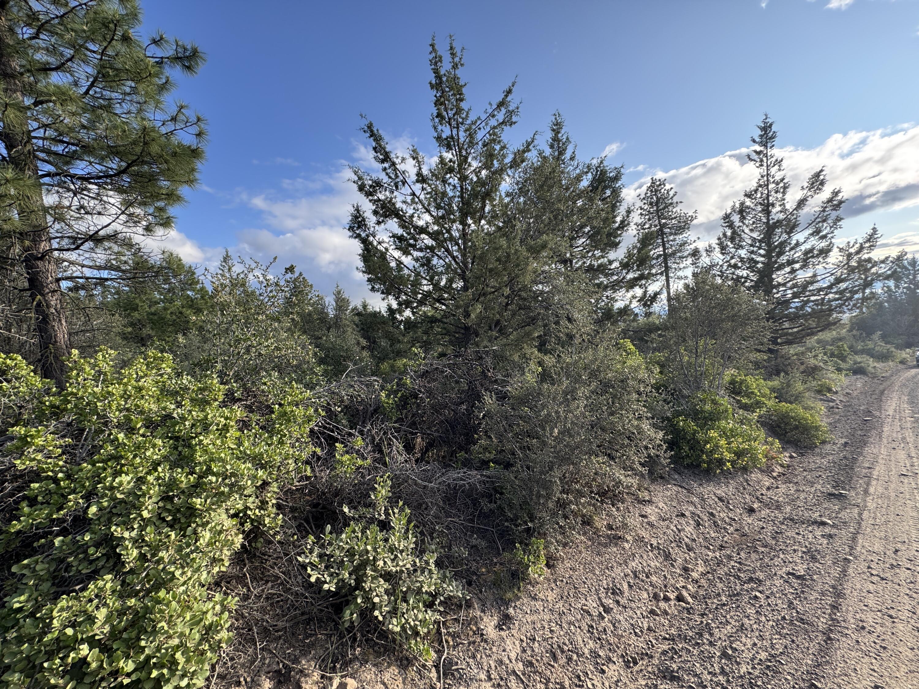 Klamath Falls Forest Estates -Sycan Unit - Land