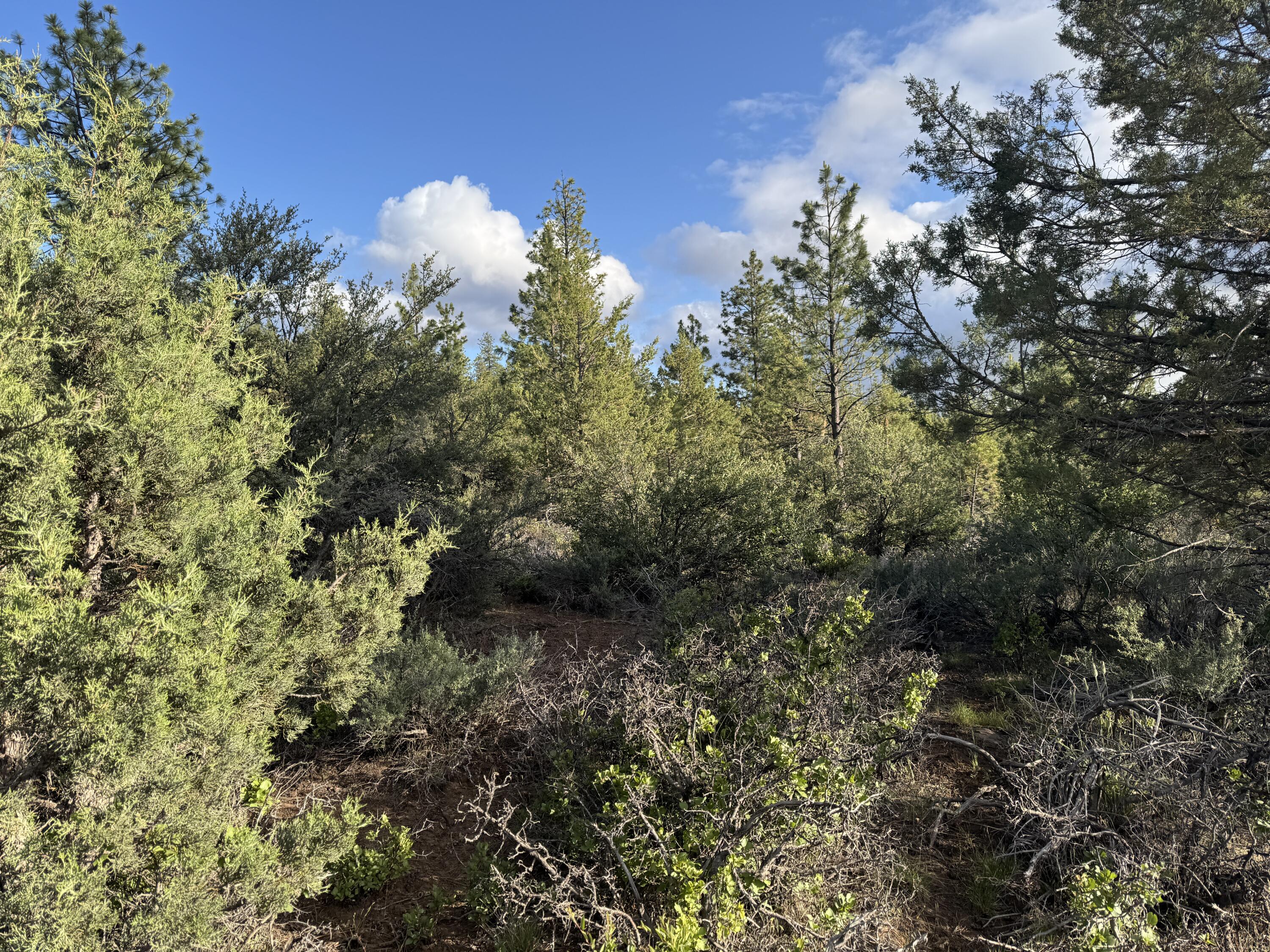Klamath Falls Forest Estates -Sycan Unit - Land