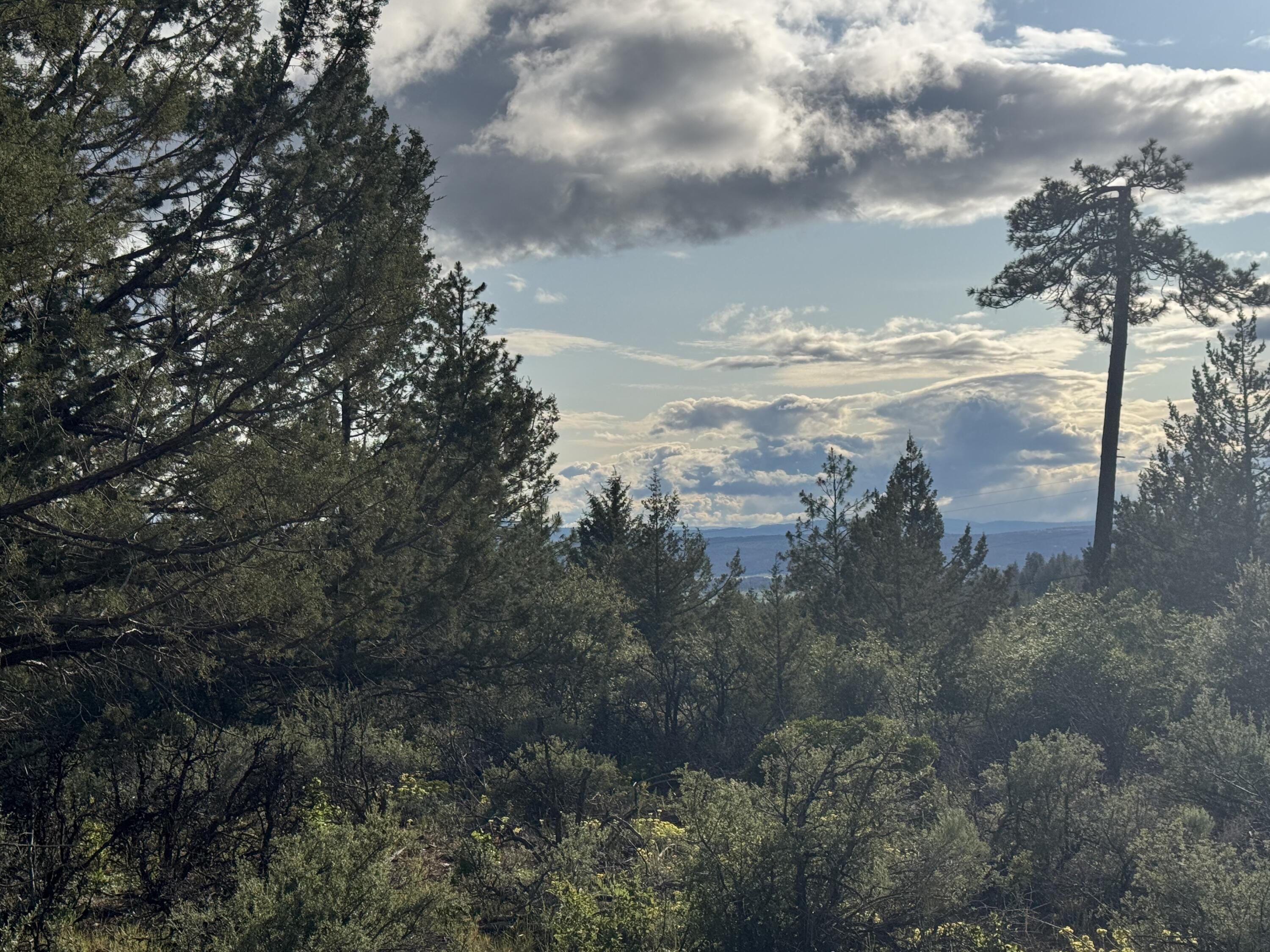 Klamath Falls Forest Estates -Sycan Unit - Land