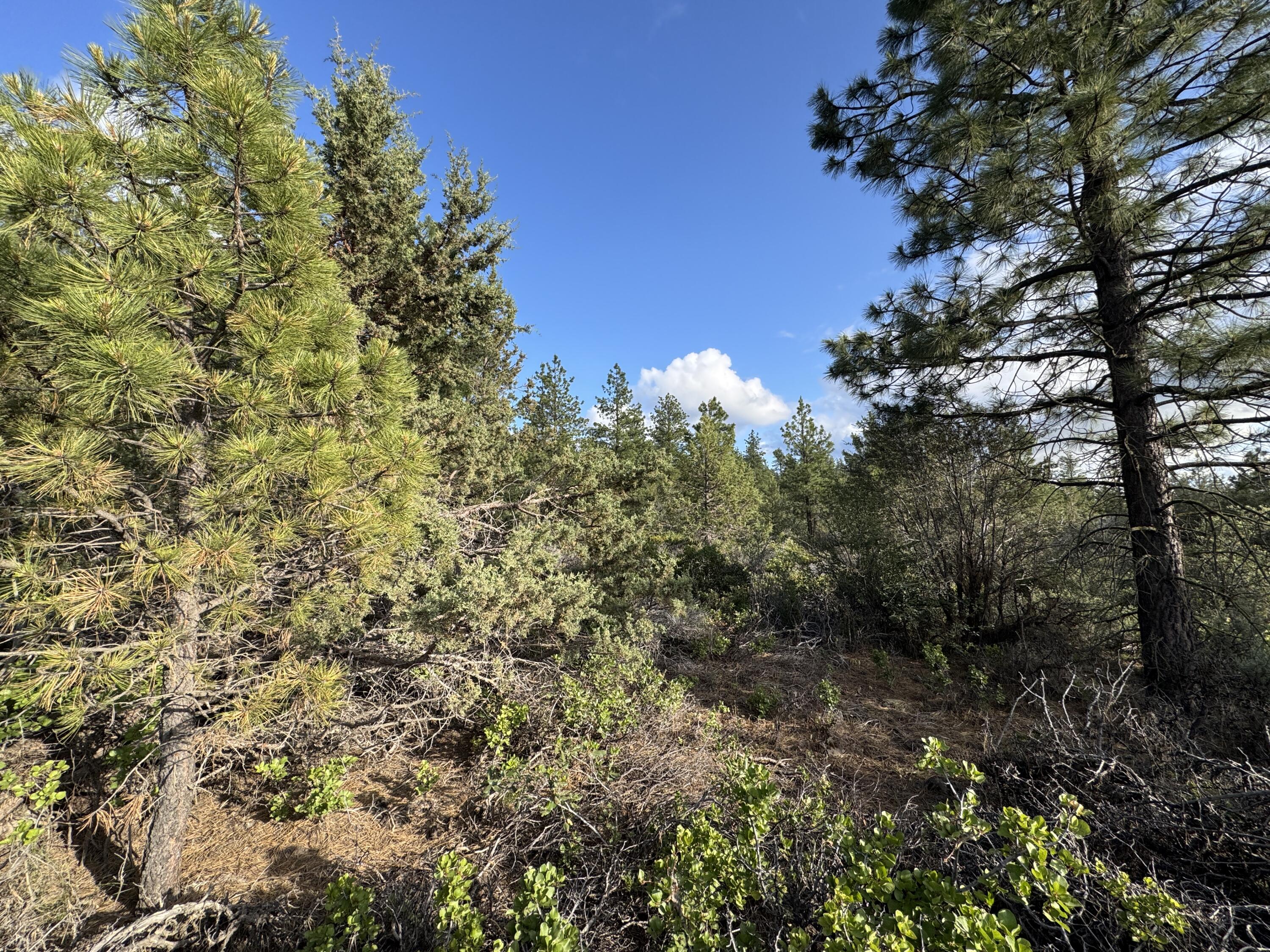 Klamath Falls Forest Estates -Sycan Unit - Land